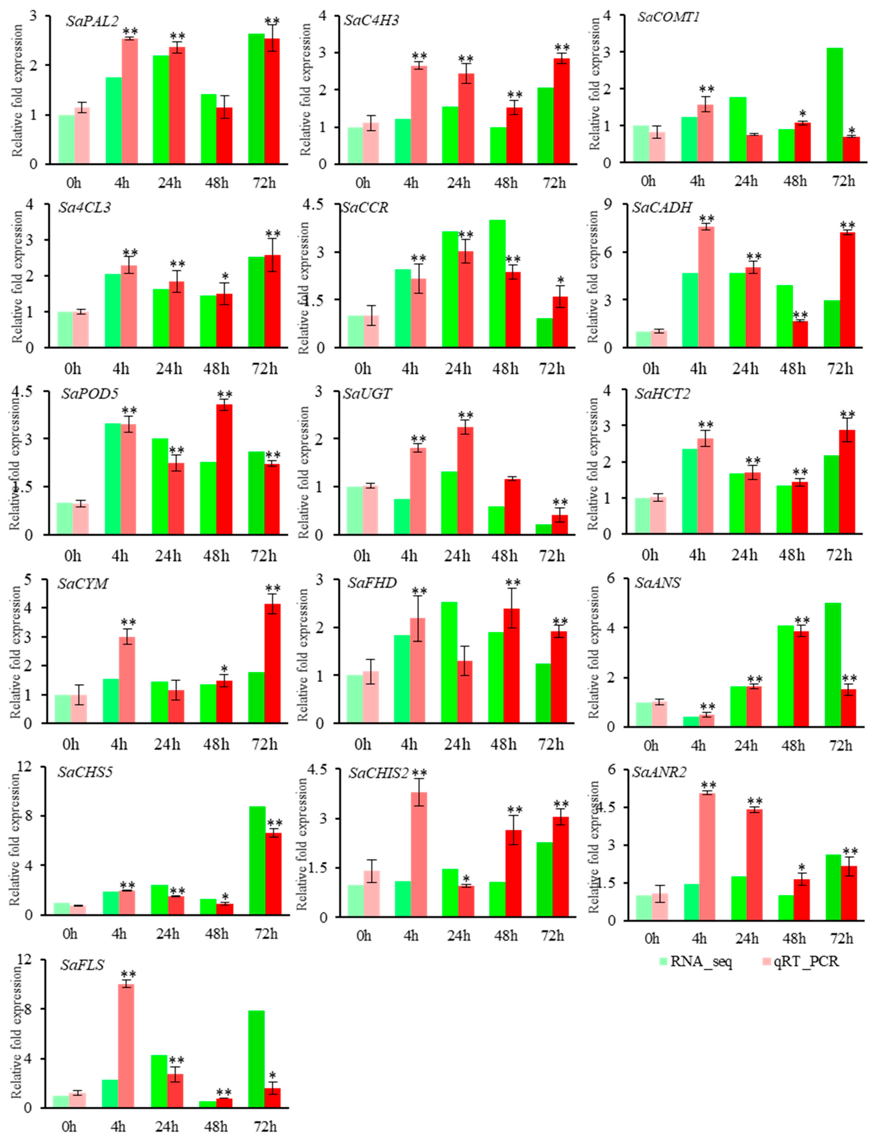 Ijms 22 02399 g008 Ijms 22 02399 g008
