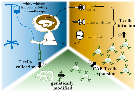 Ijms 22 02404 g002 550