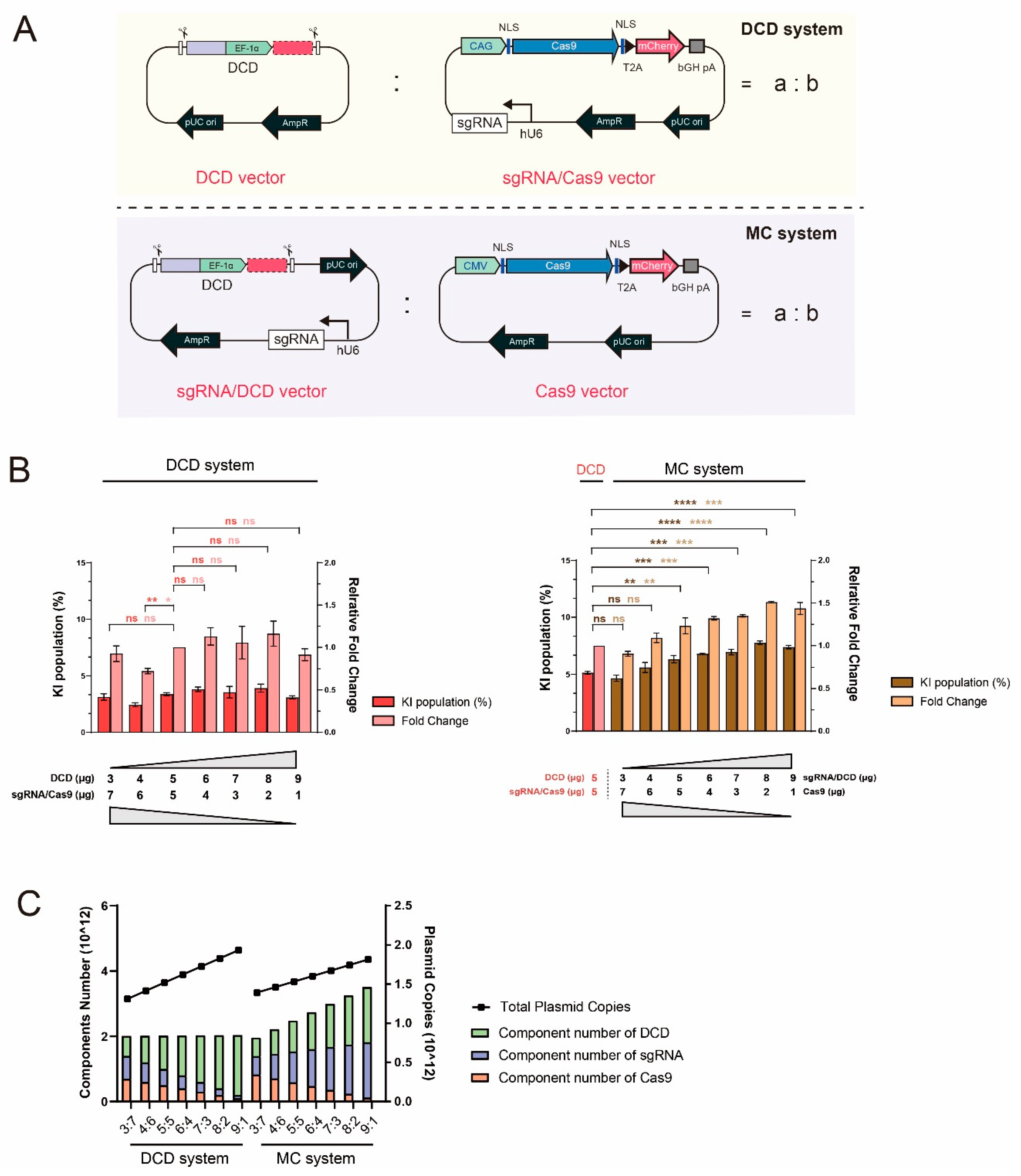 Ijms 22 02407 g002 Ijms 22 02407 g002