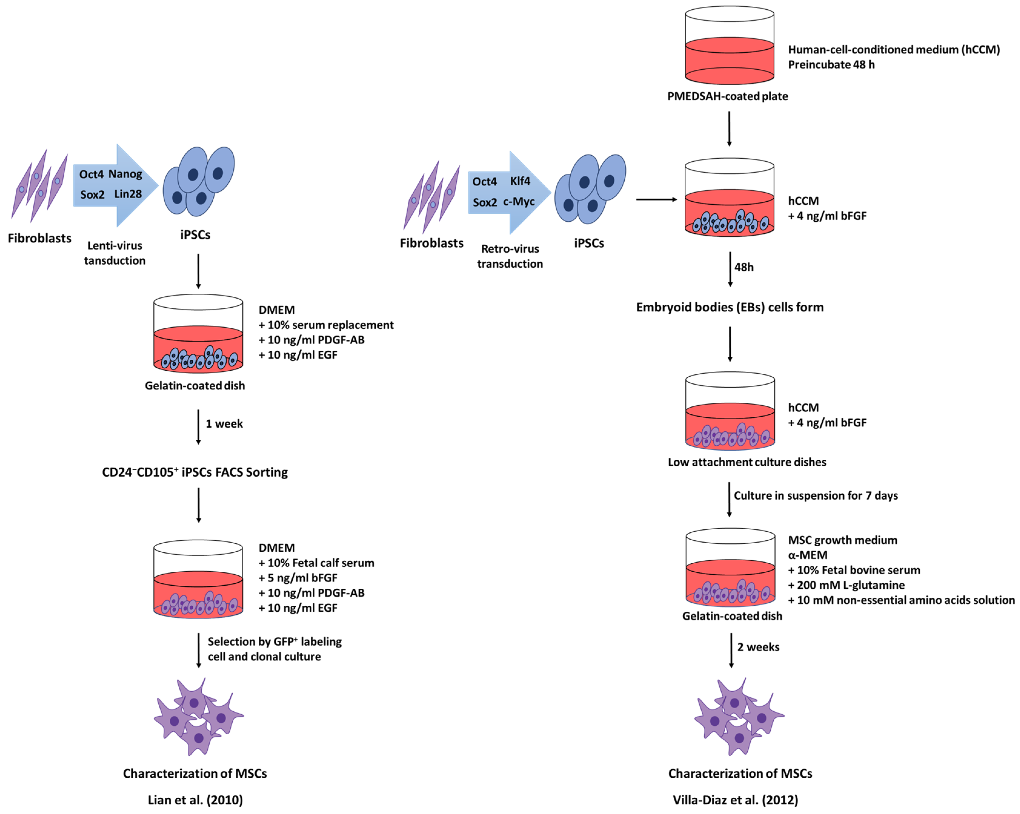 Ijms 22 02410 g003 Ijms 22 02410 g003