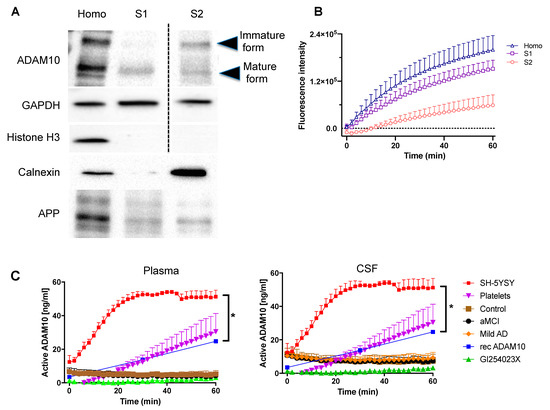 ADAM10 Plasma and CSF Levels Are Increased in Mild Alzheimer’s Disease
