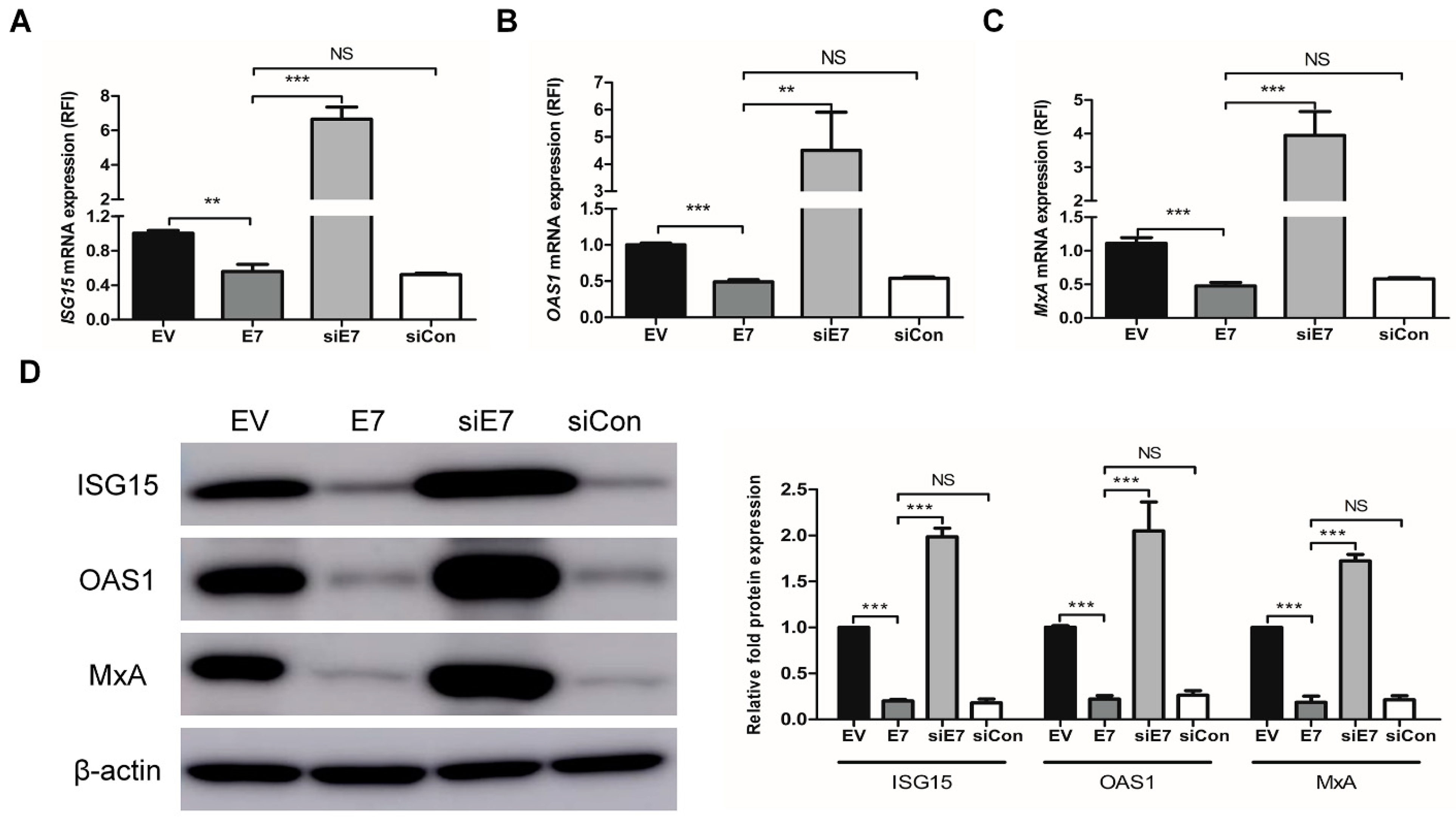 Ijms 22 02418 g002 Ijms 22 02418 g002