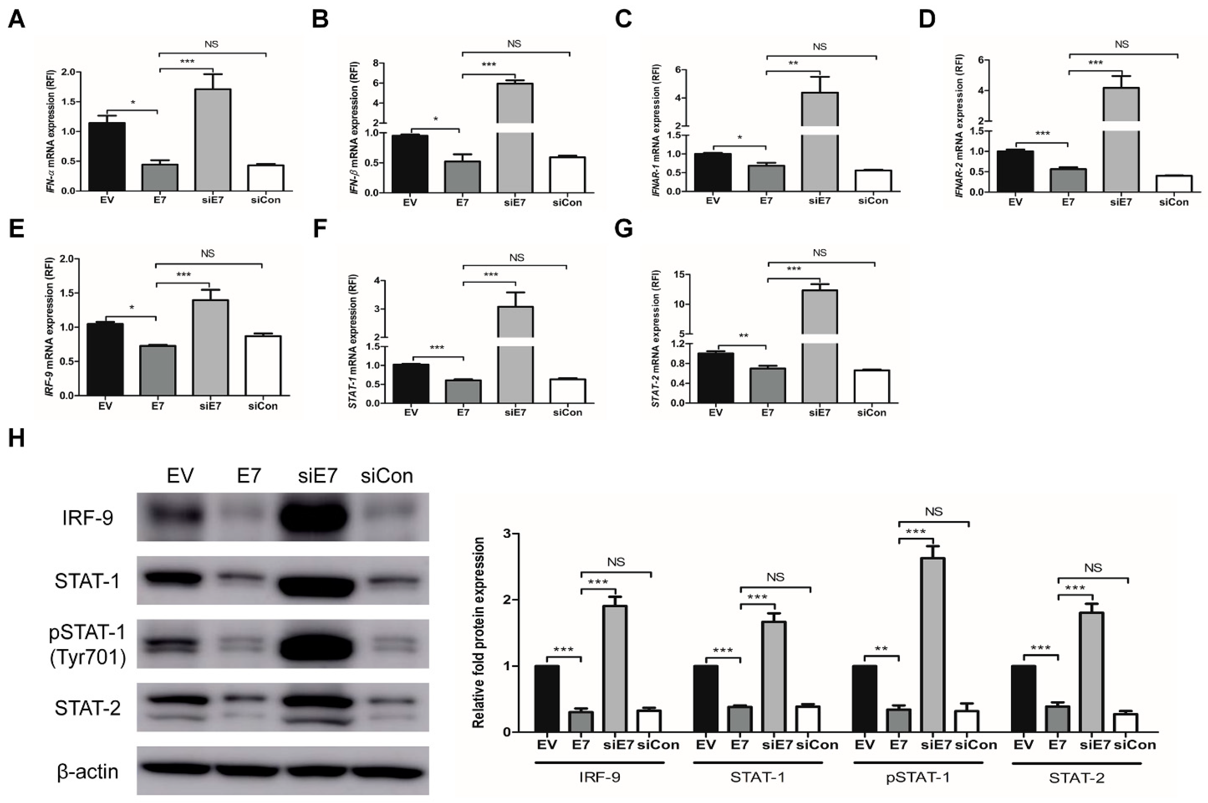 Ijms 22 02418 g003 Ijms 22 02418 g003