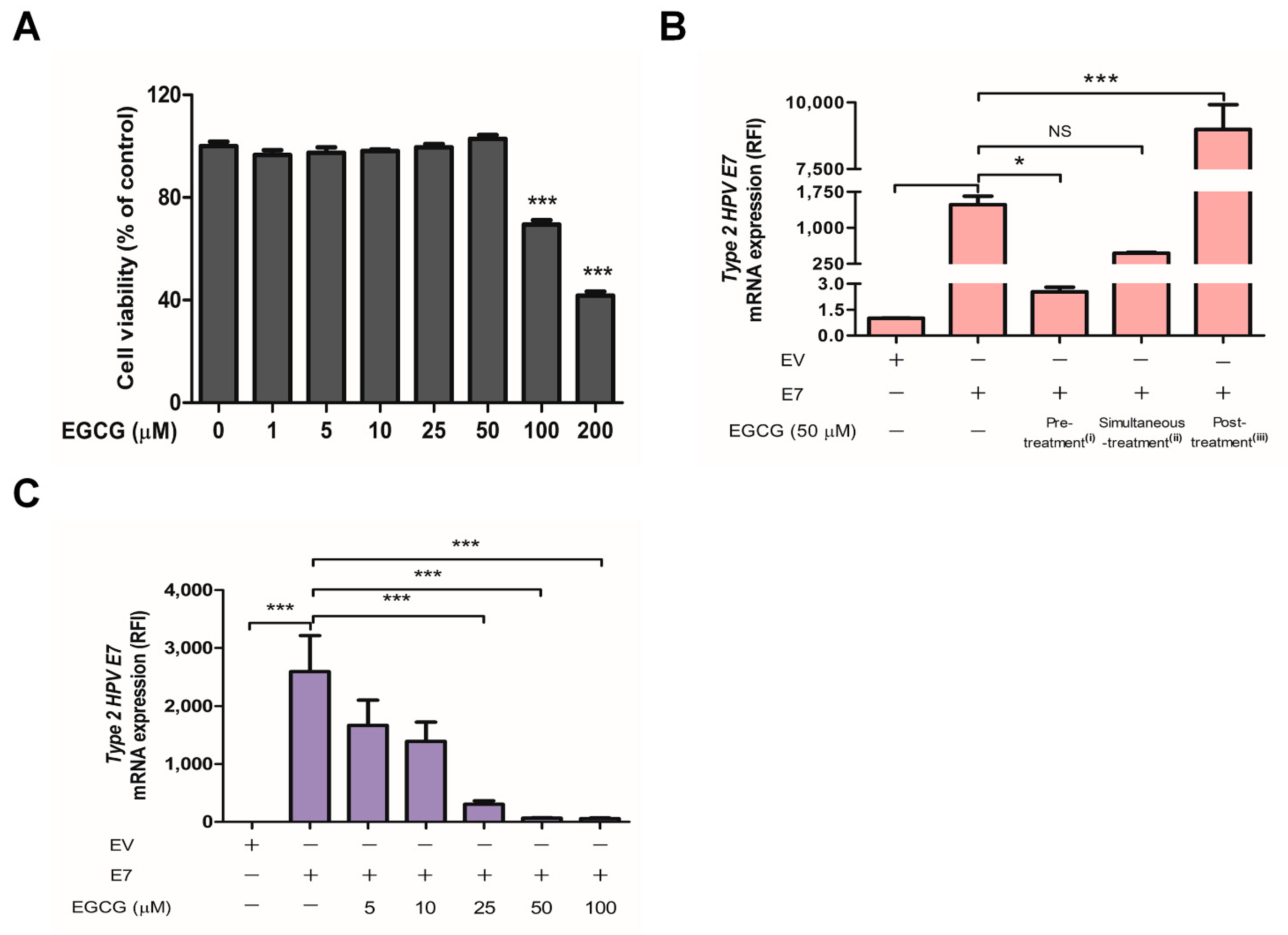 Ijms 22 02418 g004 Ijms 22 02418 g004
