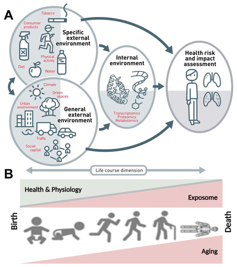 Ijms Free Full Text Accelerated Aging And Age Related Diseases Cvd And Neurological Due To Air Pollution And Traffic Noise Exposure Html