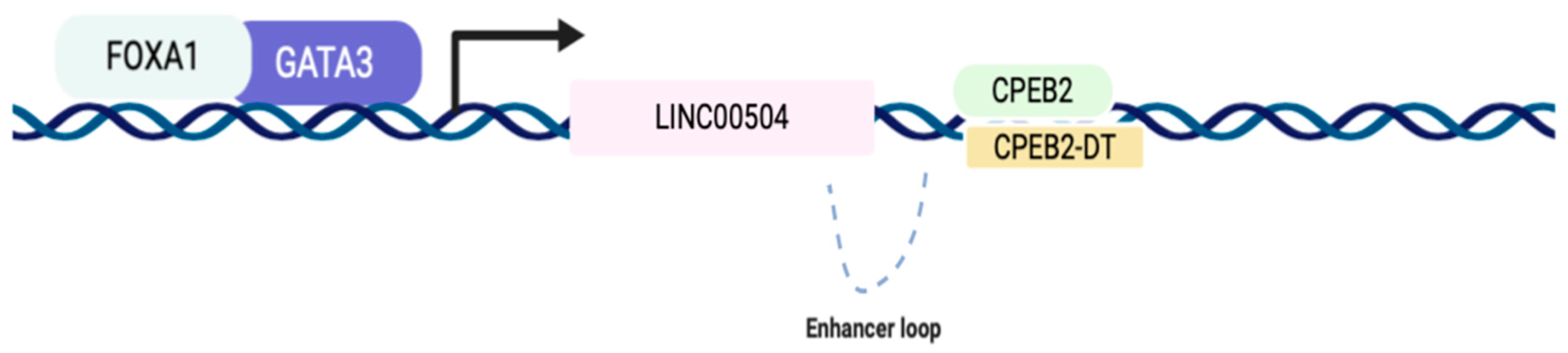 Ijms 22 02420 g006 Ijms 22 02420 g006