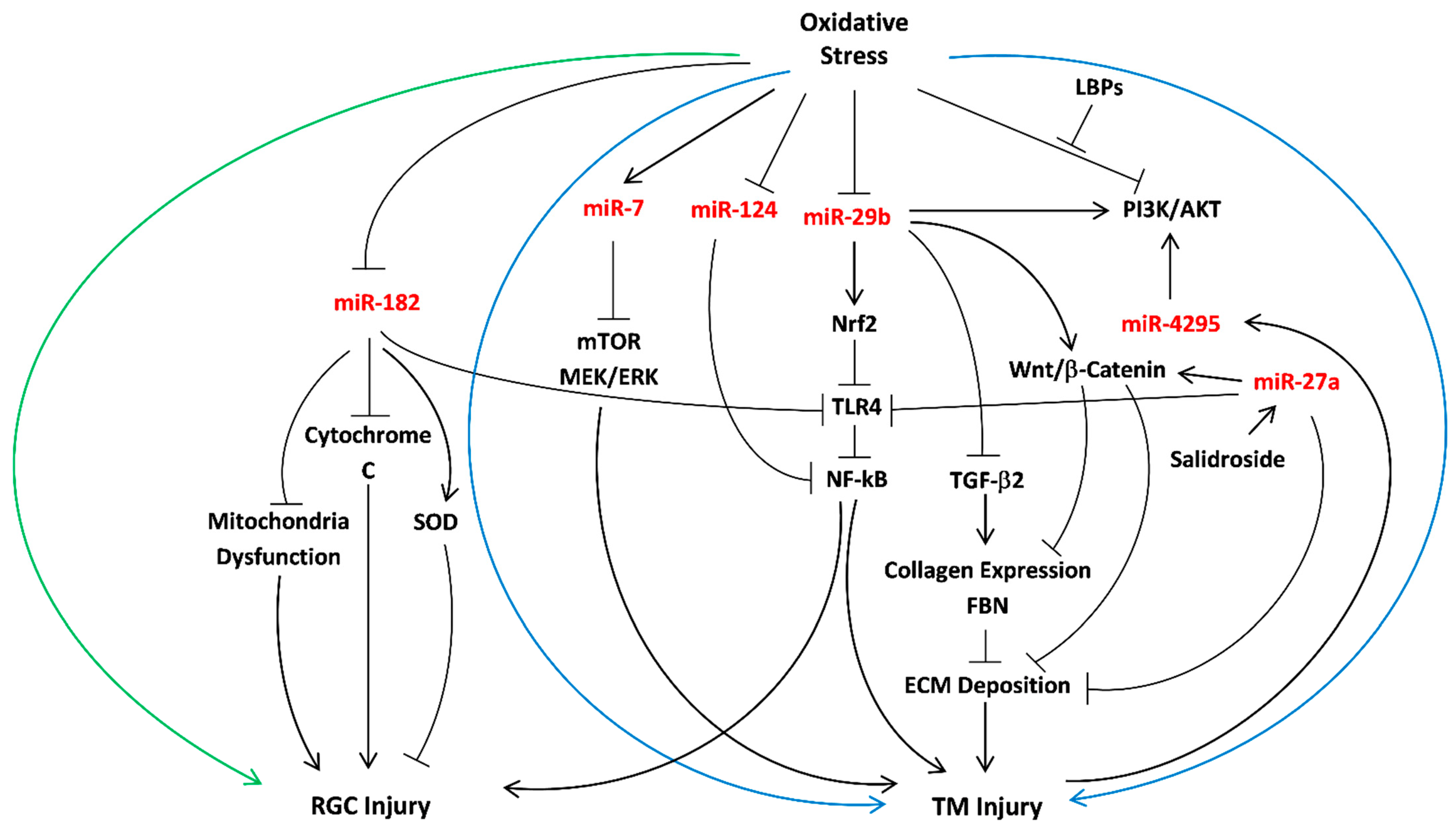 Ijms 22 02421 g001 Ijms 22 02421 g001