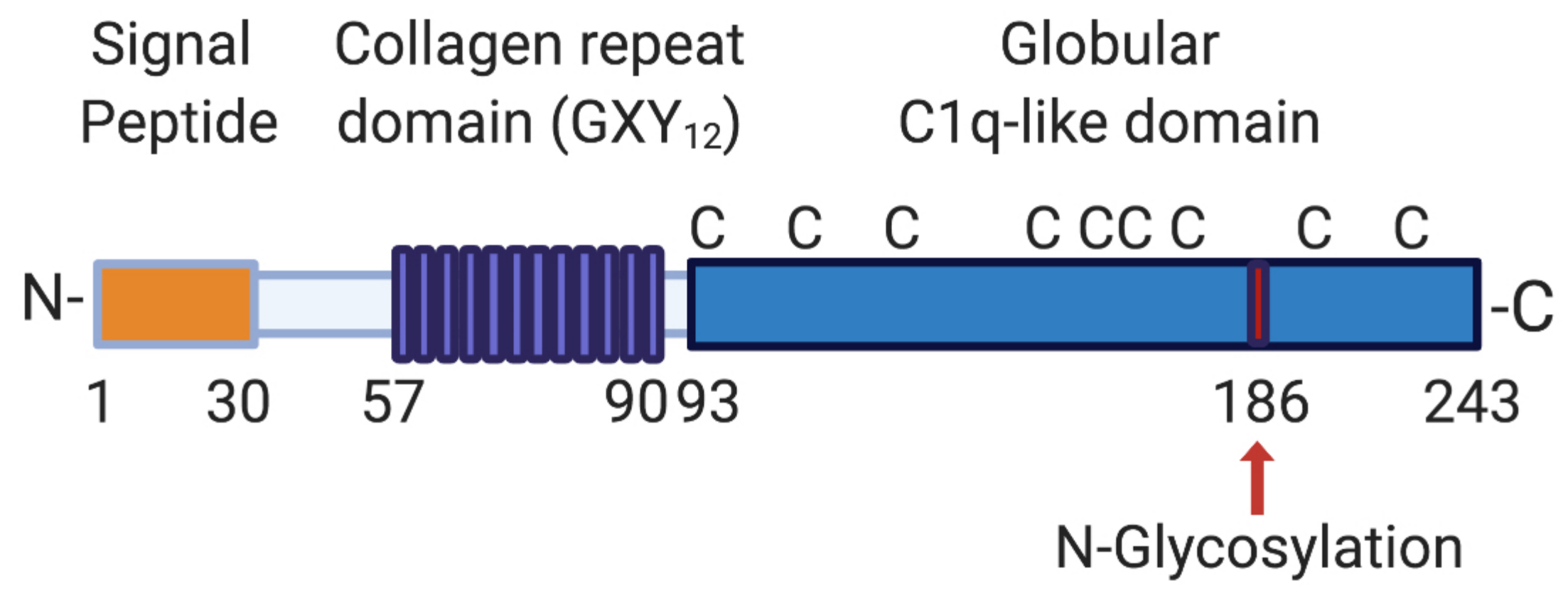 Ijms 22 02426 g001 Ijms 22 02426 g001