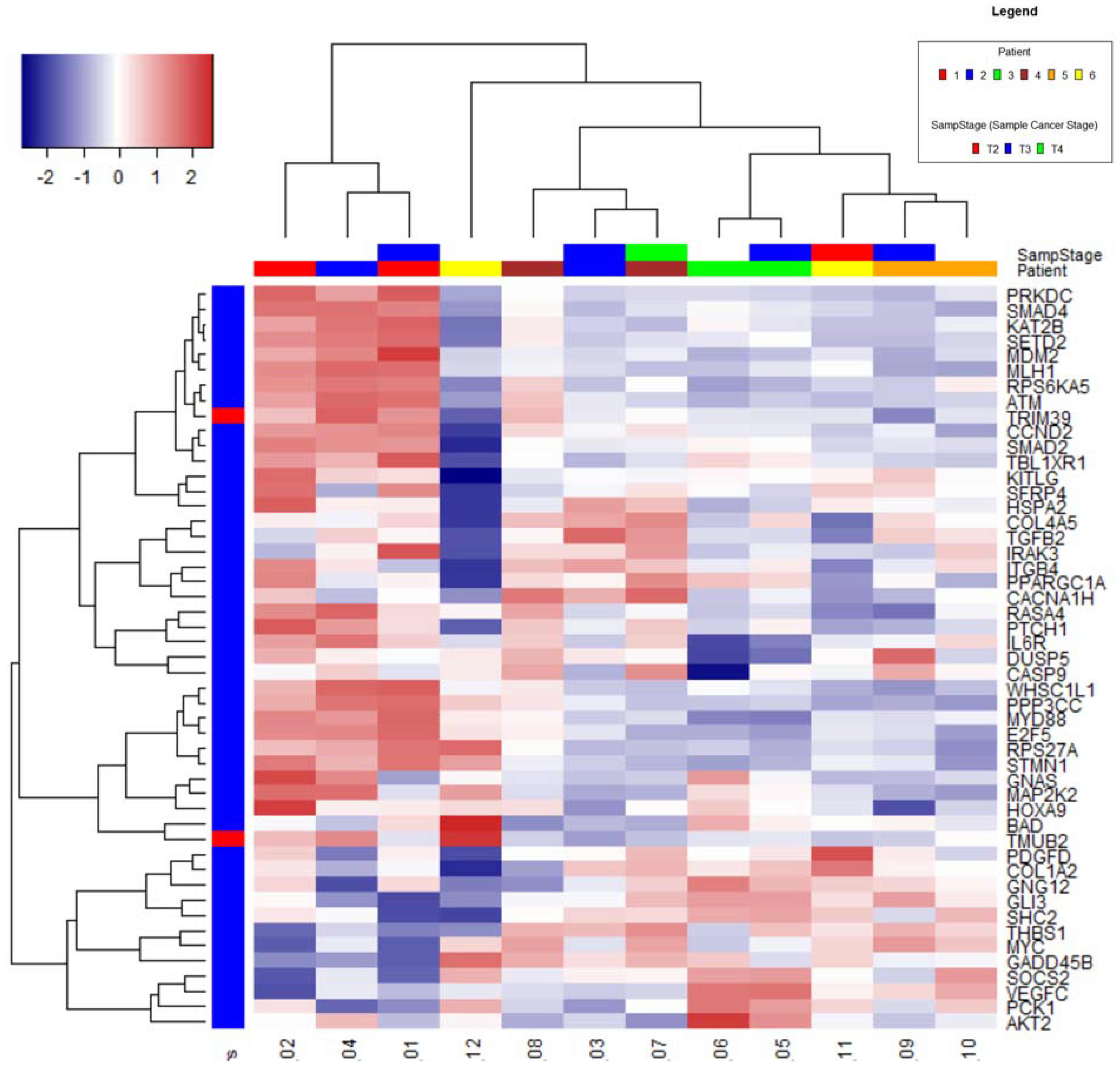 Ijms 22 02430 g001 Ijms 22 02430 g001