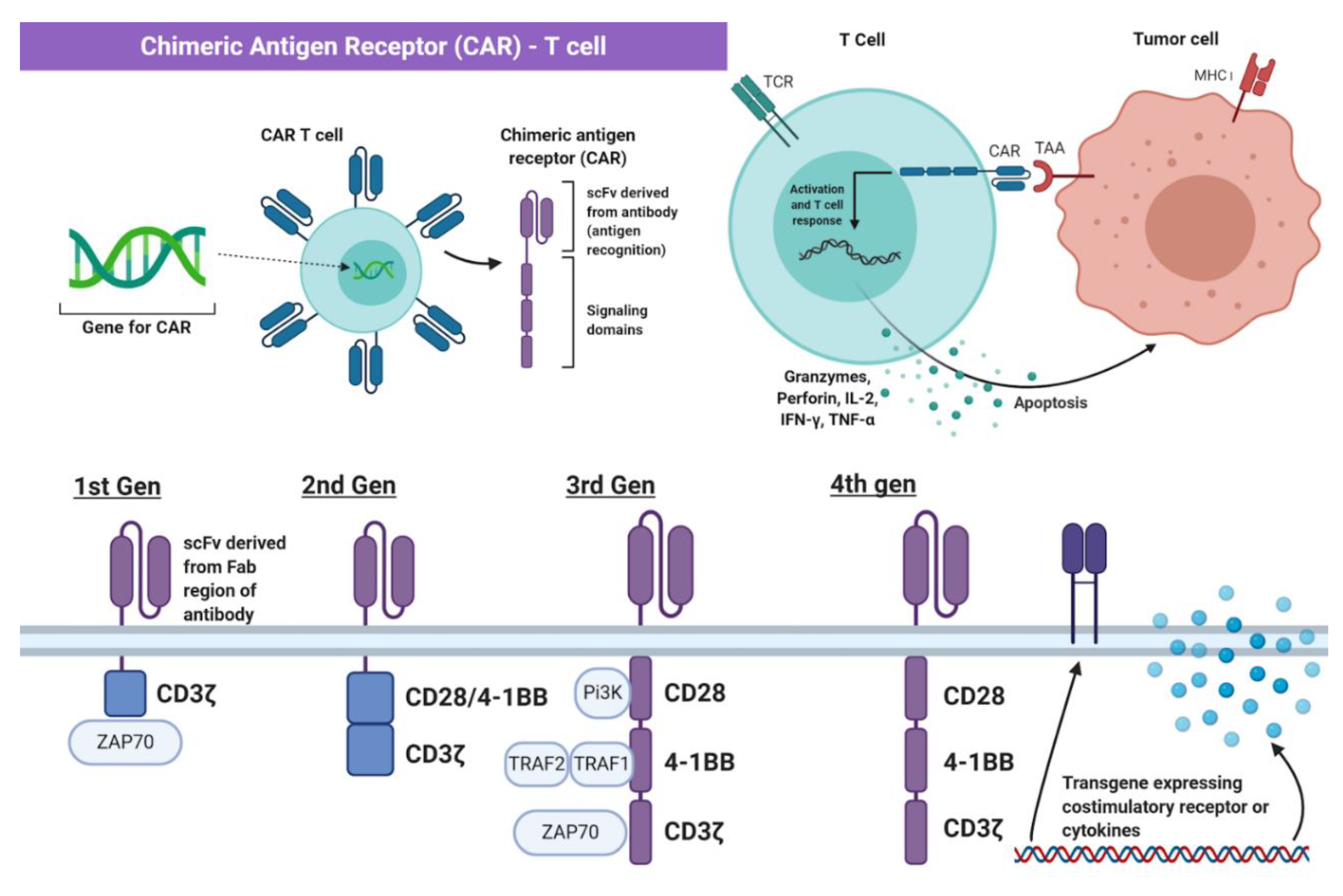 Ijms 22 02433 g002 Ijms 22 02433 g002