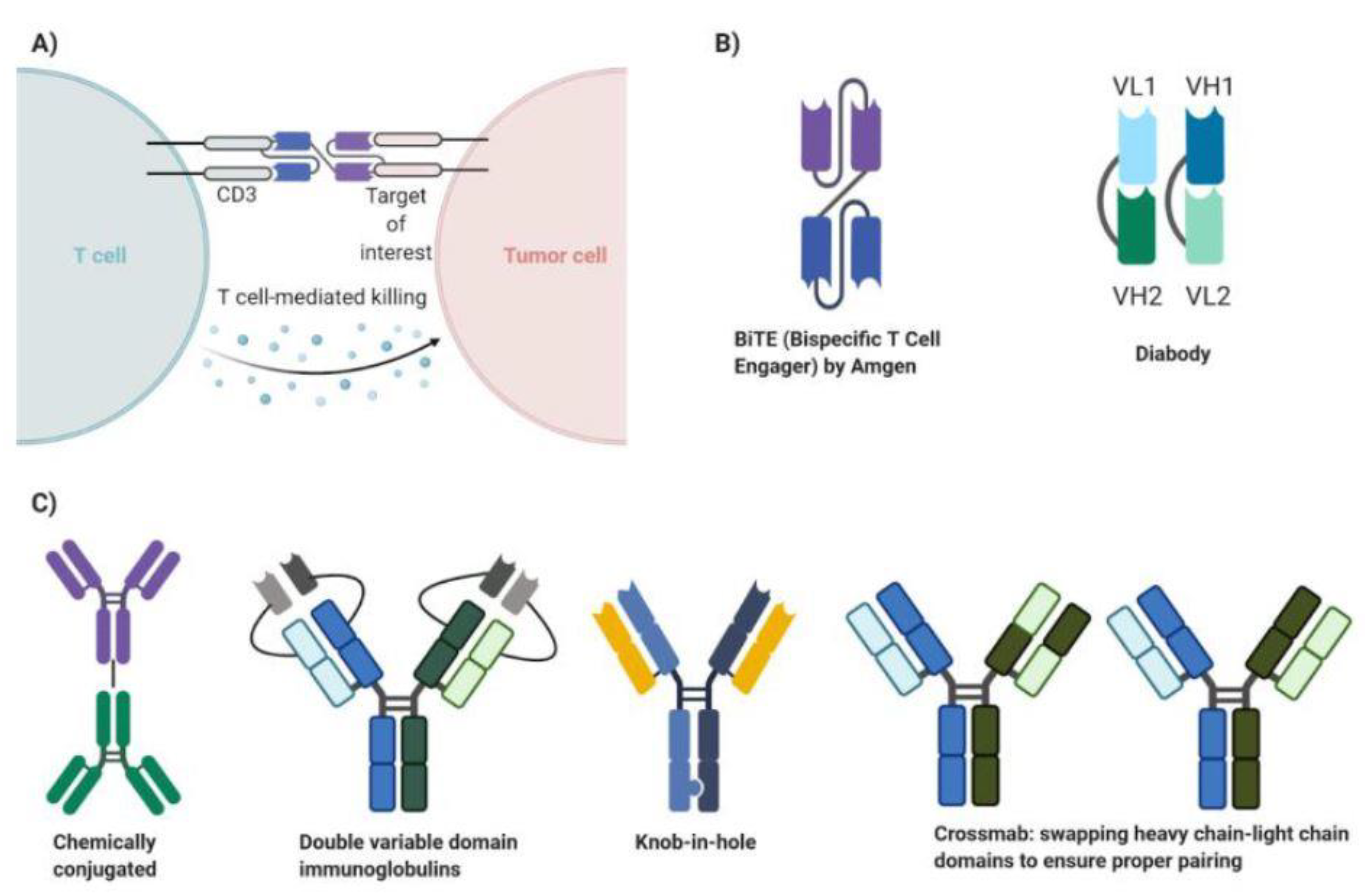 Ijms 22 02433 g003 Ijms 22 02433 g003