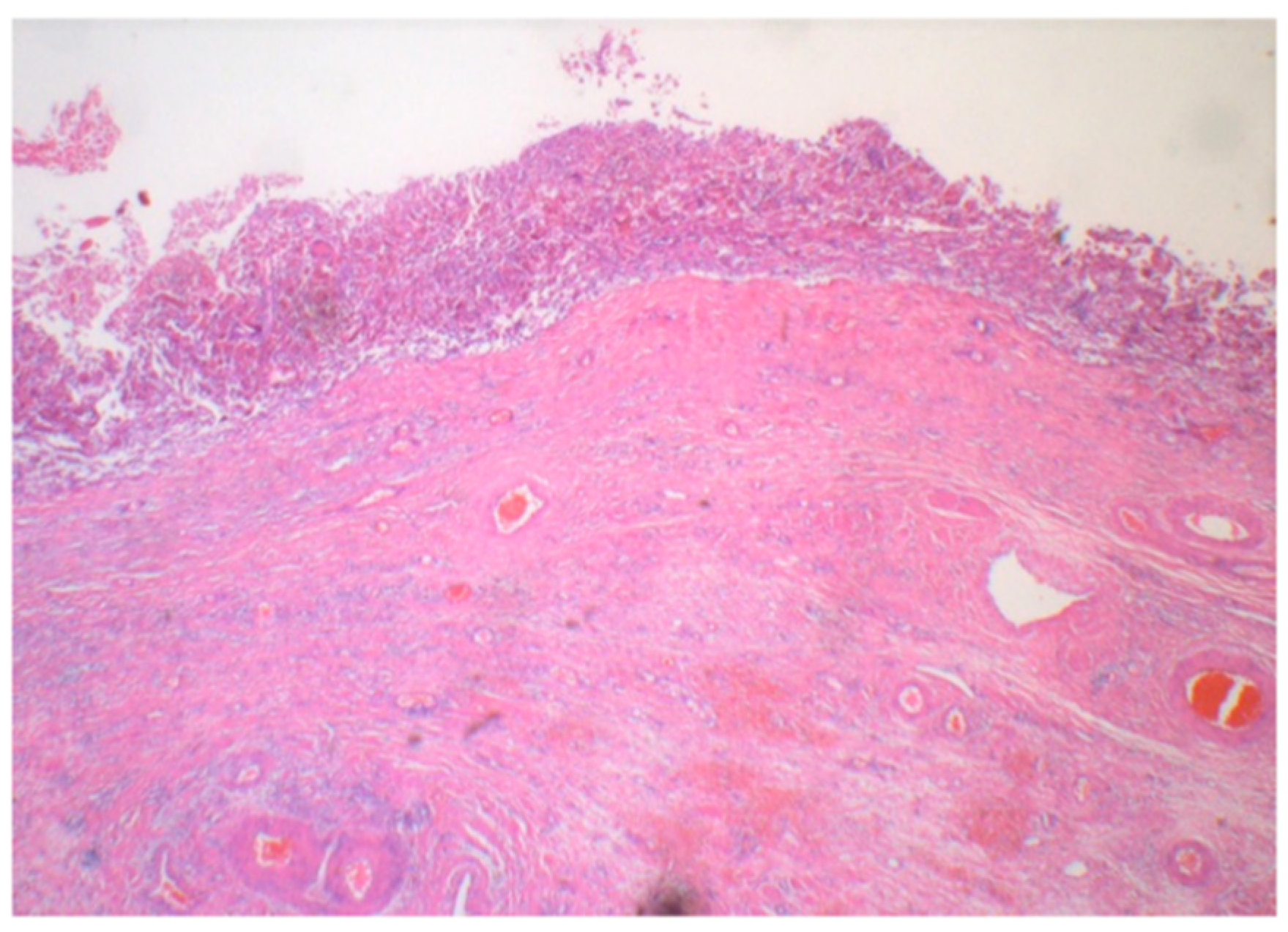 Ijms 22 02436 g002 Ijms 22 02436 g002