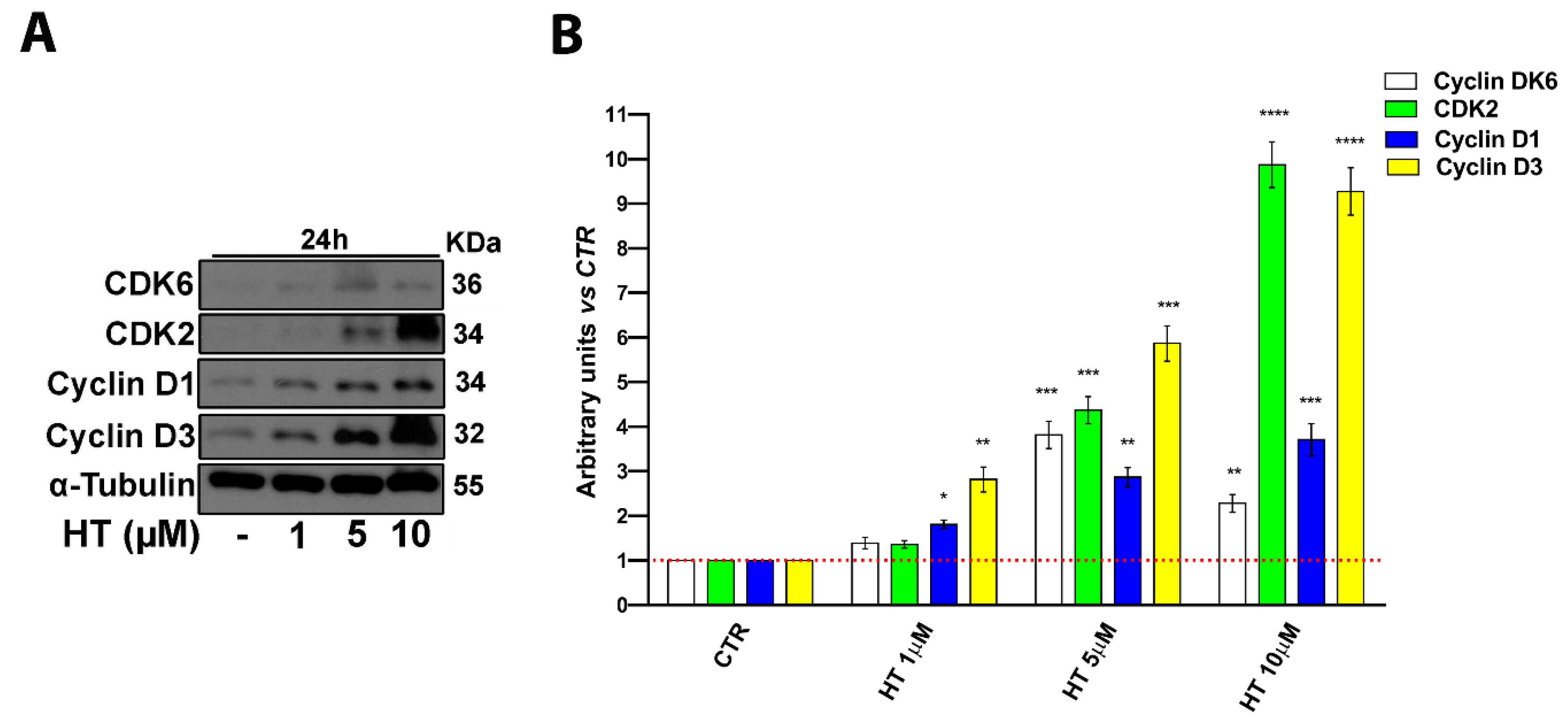 Ijms 22 02438 g002 Ijms 22 02438 g002