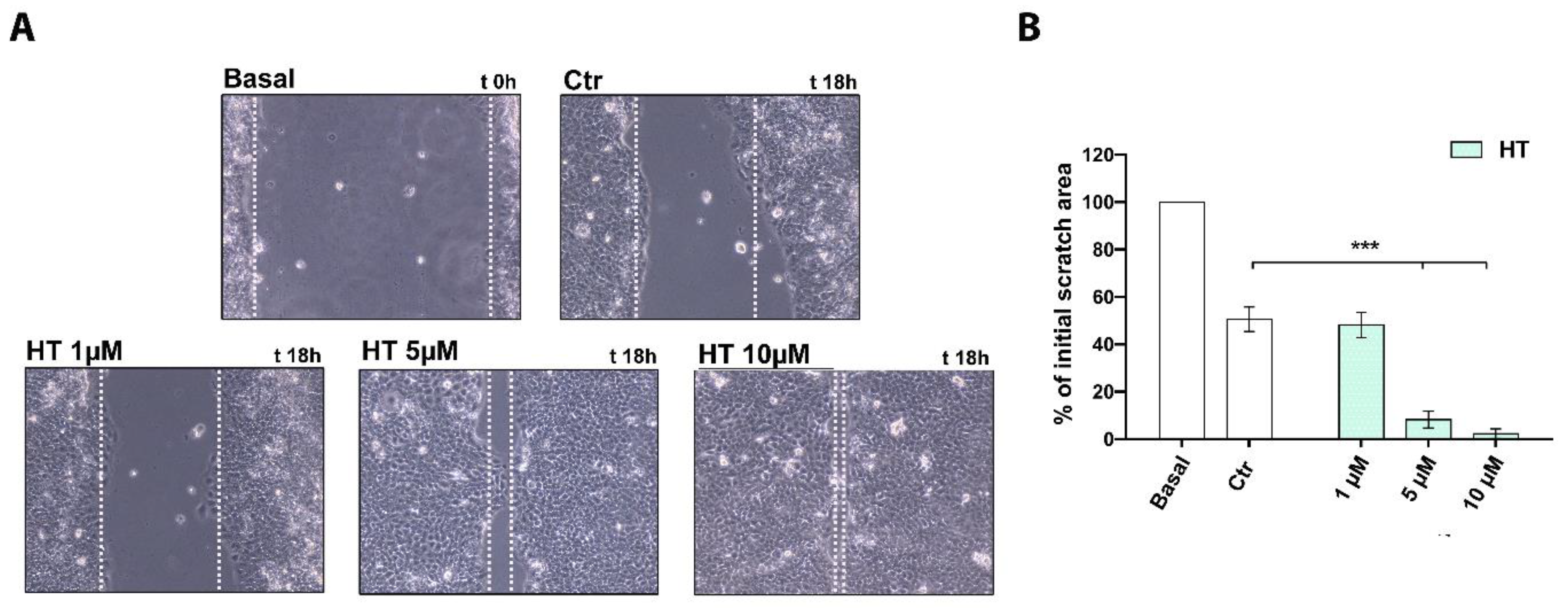 Ijms 22 02438 g003 Ijms 22 02438 g003