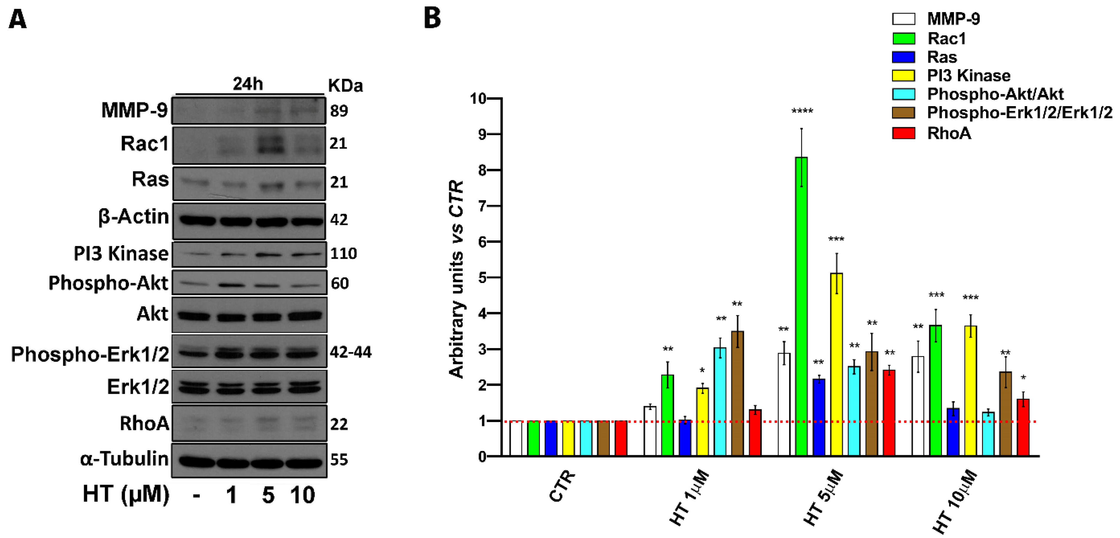 Ijms 22 02438 g004 Ijms 22 02438 g004