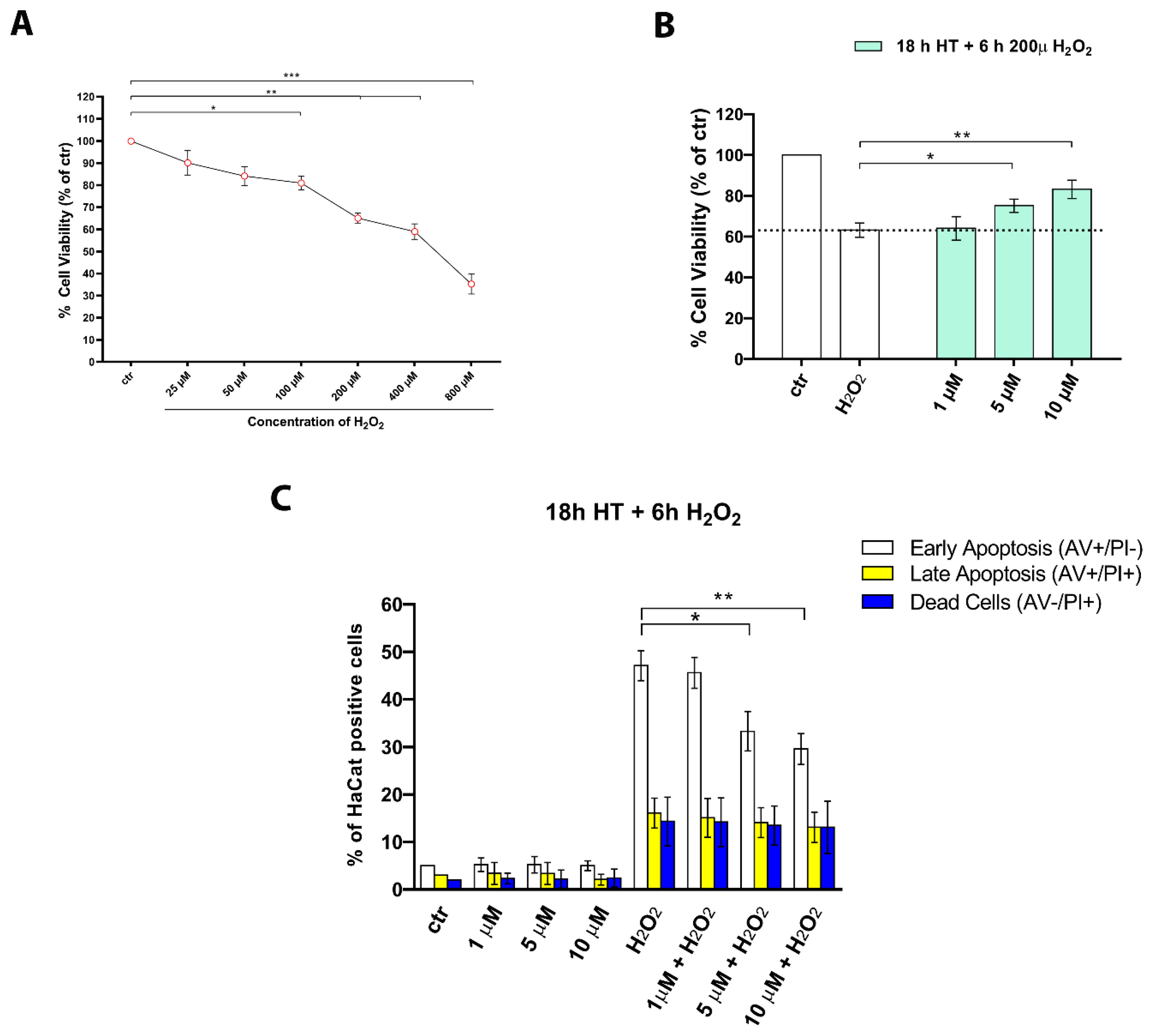 Ijms 22 02438 g005 Ijms 22 02438 g005