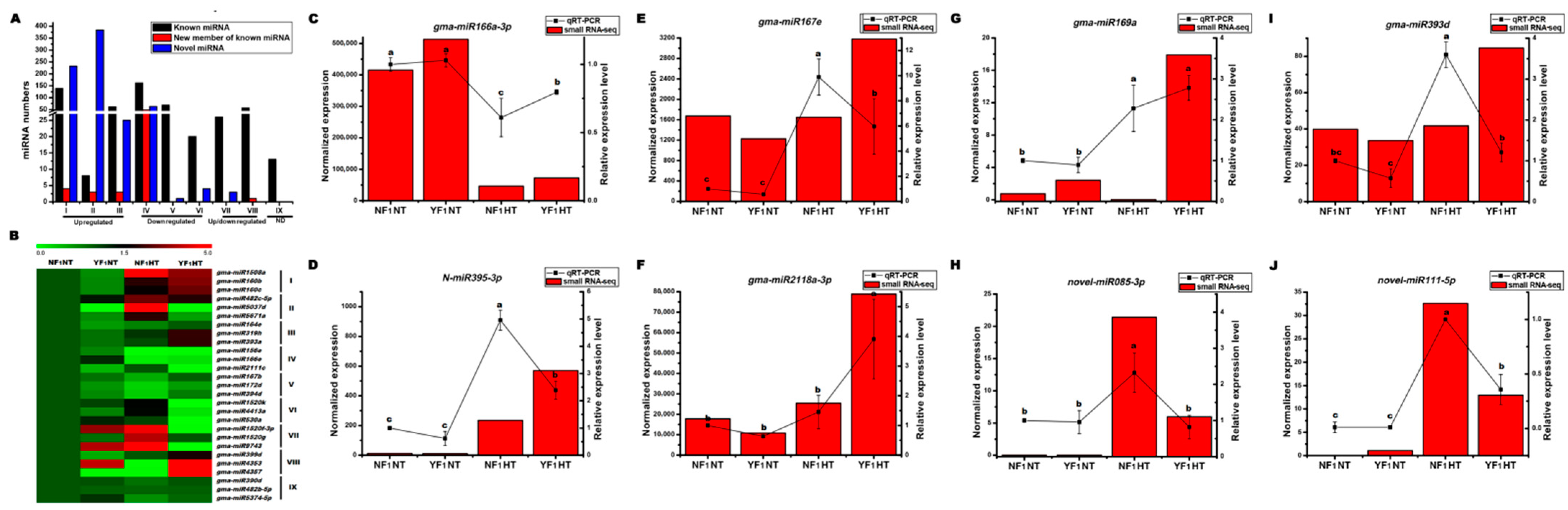 Ijms 22 02446 g002 Ijms 22 02446 g002