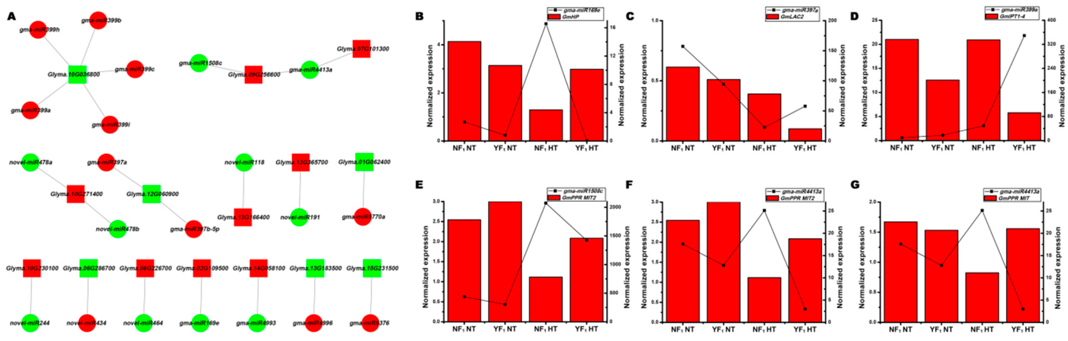 Ijms 22 02446 g004 Ijms 22 02446 g004