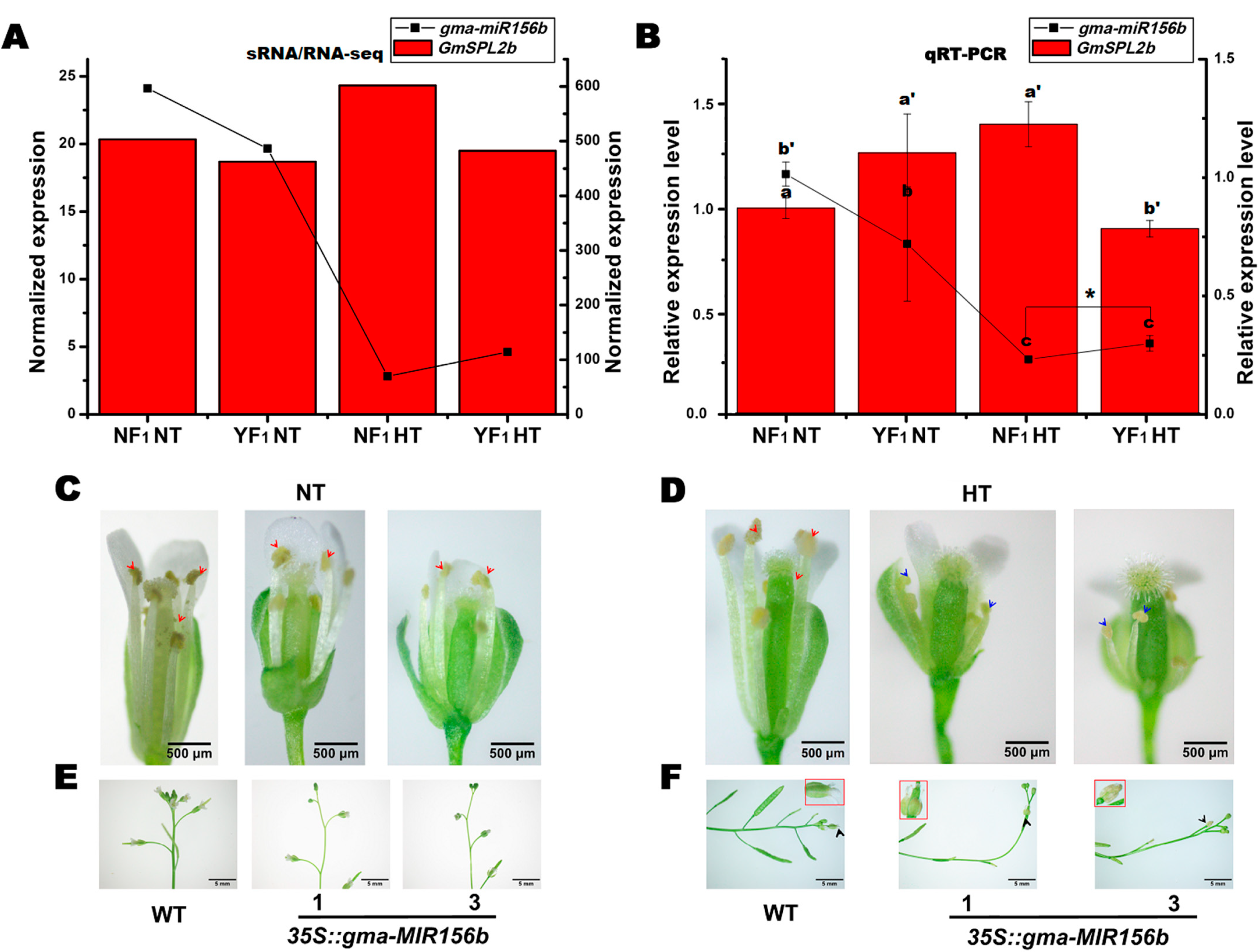 Ijms 22 02446 g005 Ijms 22 02446 g005