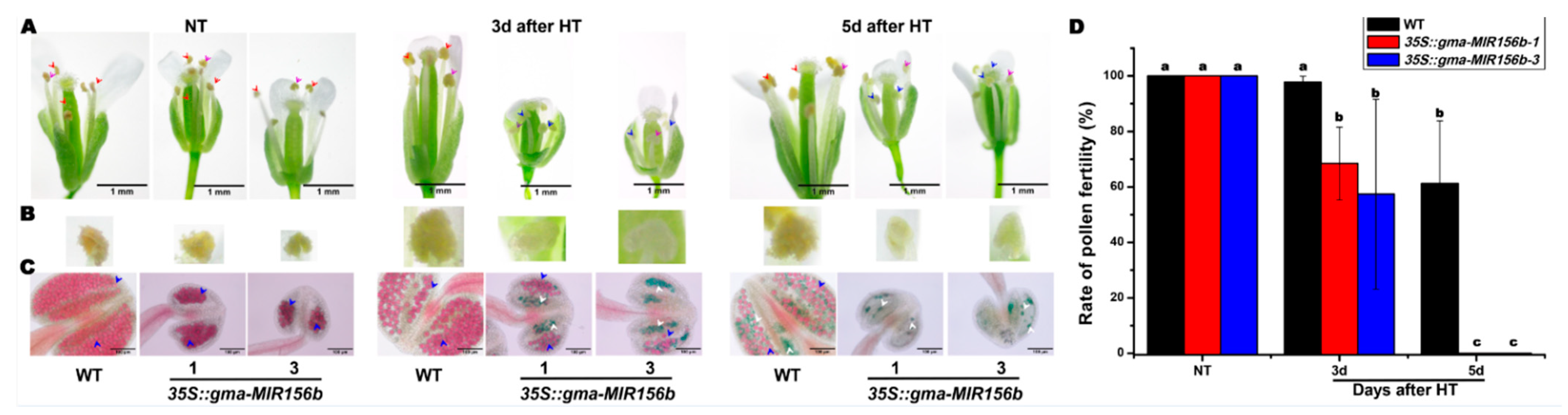 Ijms 22 02446 g006 Ijms 22 02446 g006