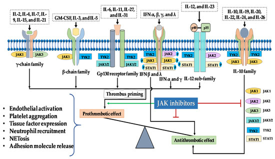 Ijms Free Full Text Thromboembolic Adverse Drug Reactions In Janus Kinase Jak Inhibitors Does The Inhibitor Specificity Play A Role Html