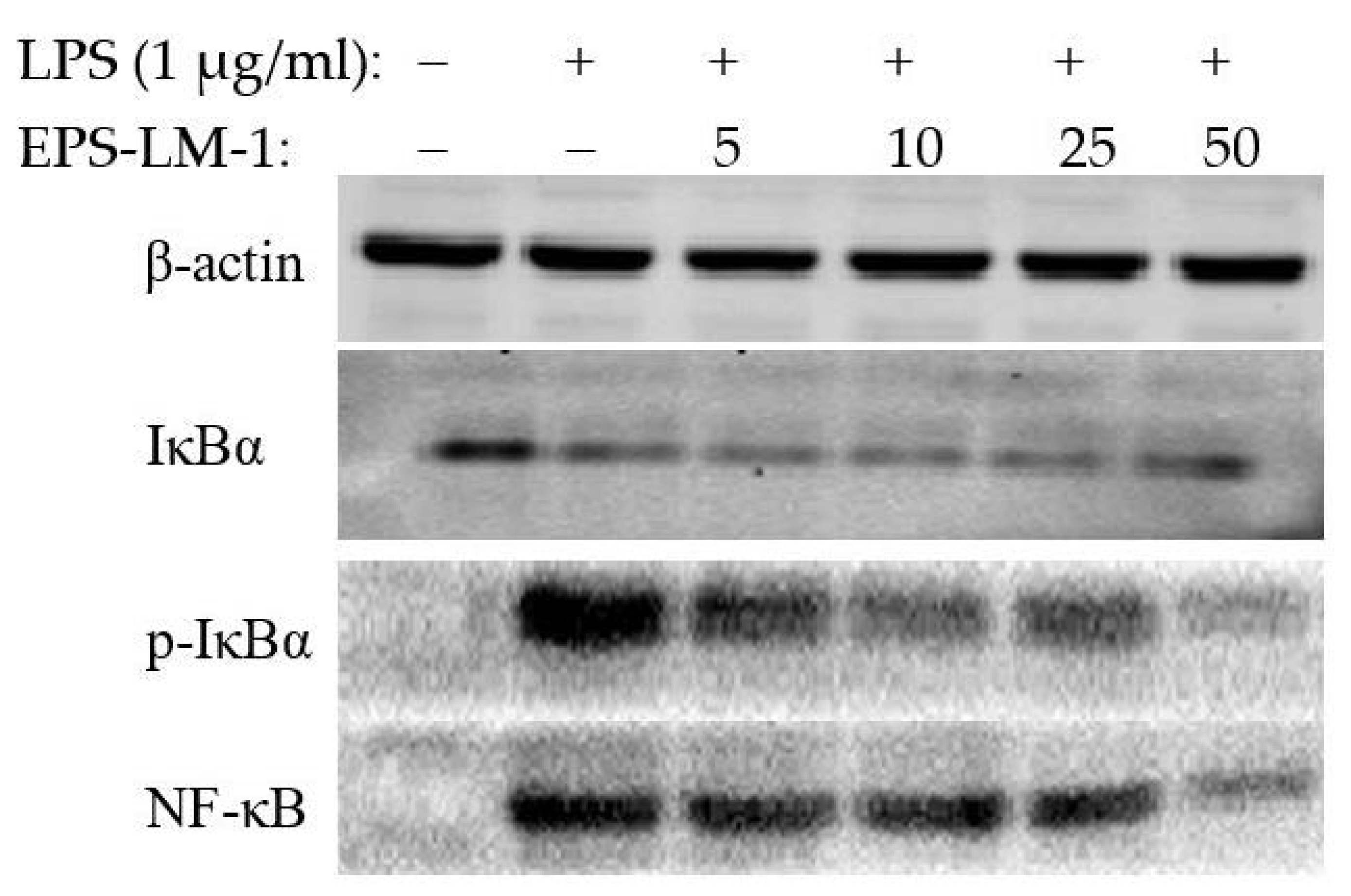 Ijms 22 02450 g004 Ijms 22 02450 g004
