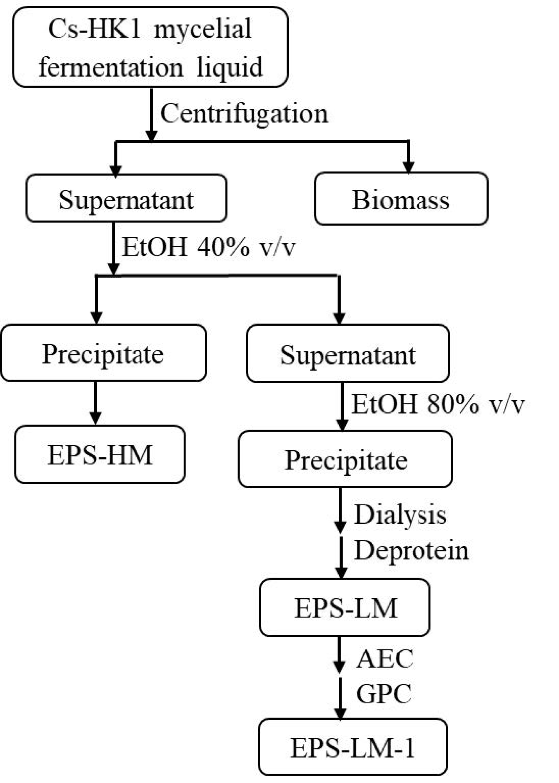 Ijms 22 02450 g006 Ijms 22 02450 g006
