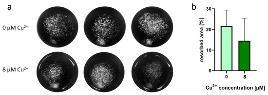 Ijms 22 02451 g009 550