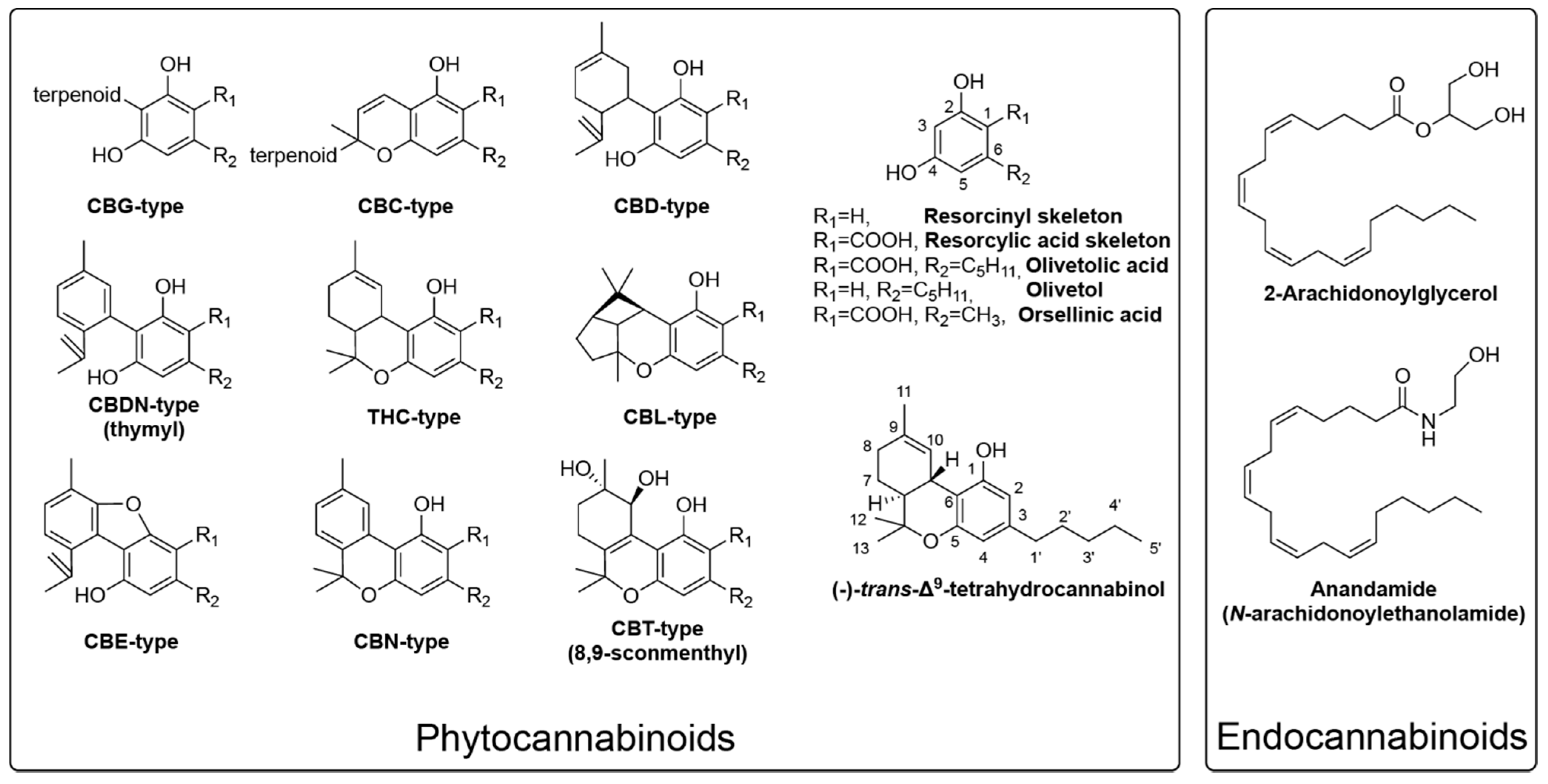 Flavonoids in Cannabis sativa: Biosynthesis, Bioactivities, and  Biotechnology