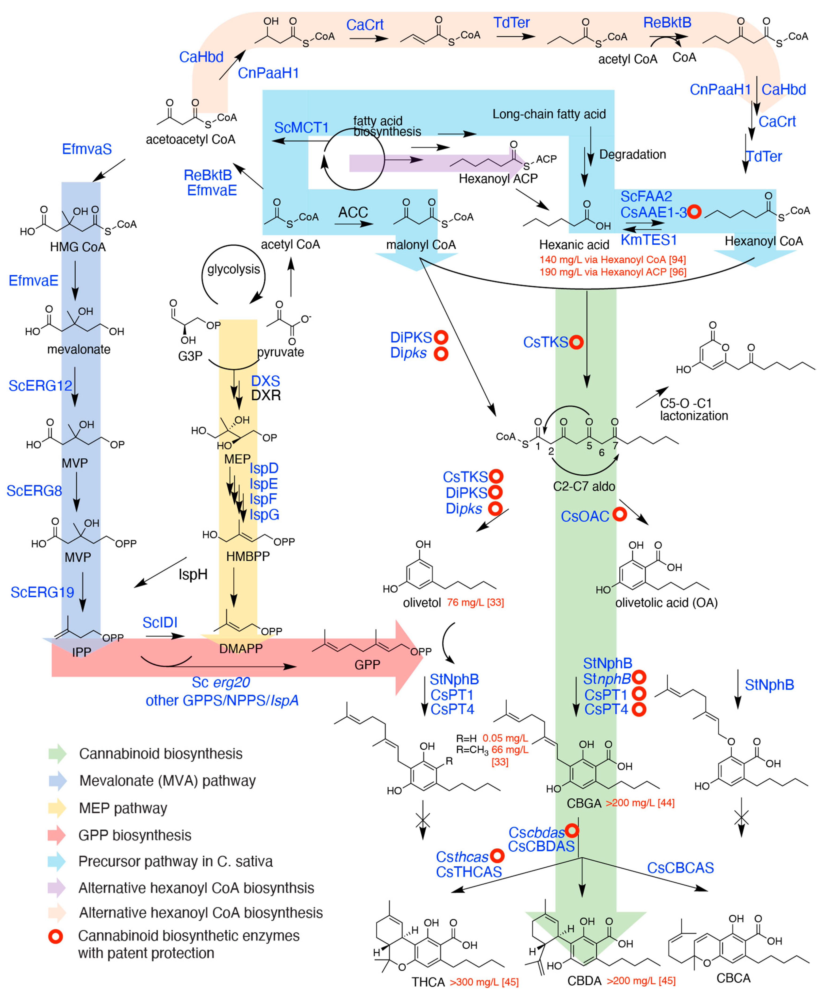 Ijms 22 02454 g002 Ijms 22 02454 g002
