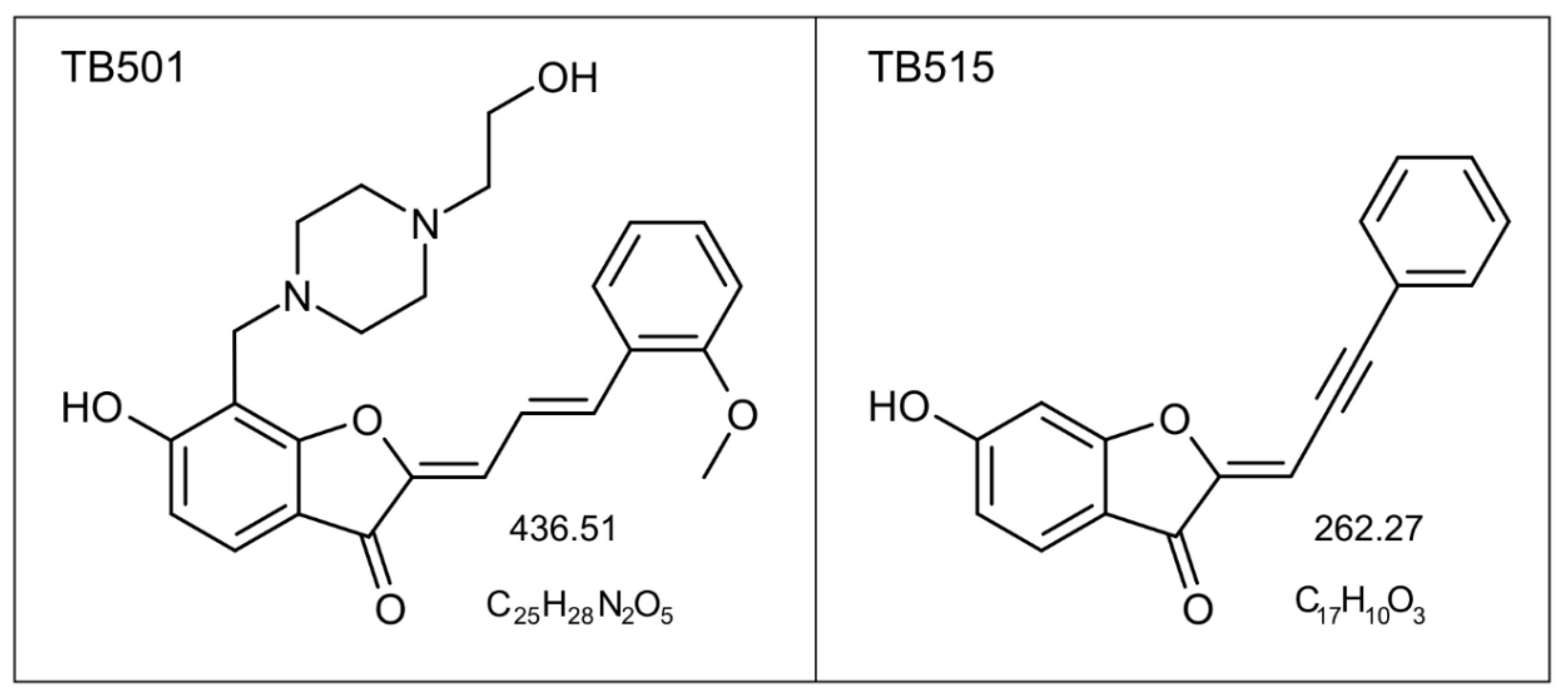 Ijms 22 02457 g005 Ijms 22 02457 g005