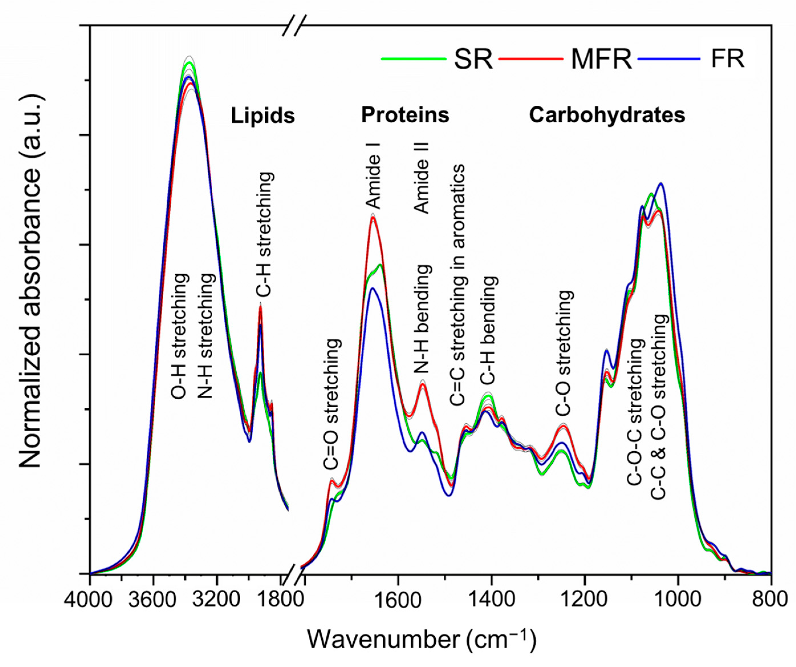 Ijms 22 02461 g003 Ijms 22 02461 g003