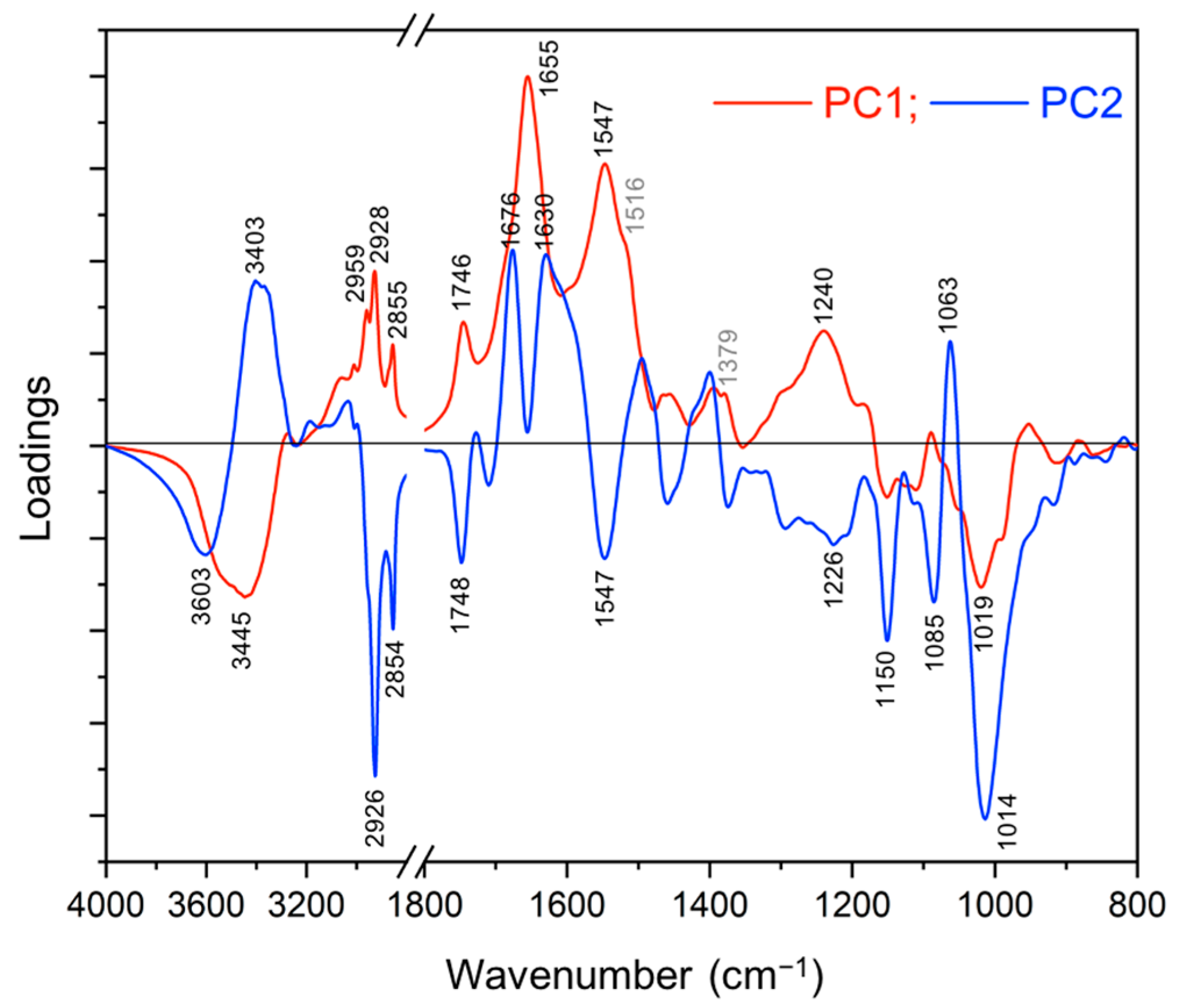 Ijms 22 02461 g005 Ijms 22 02461 g005