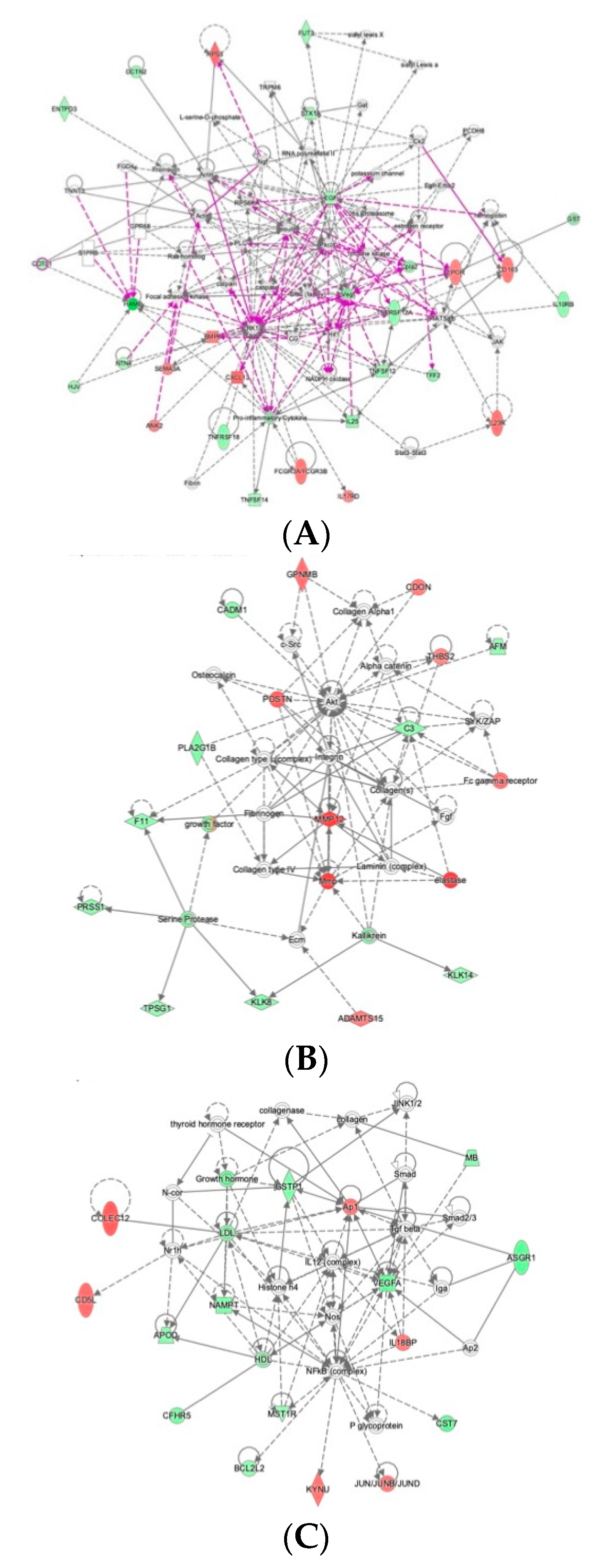 Ijms 22 02474 g004 Ijms 22 02474 g004