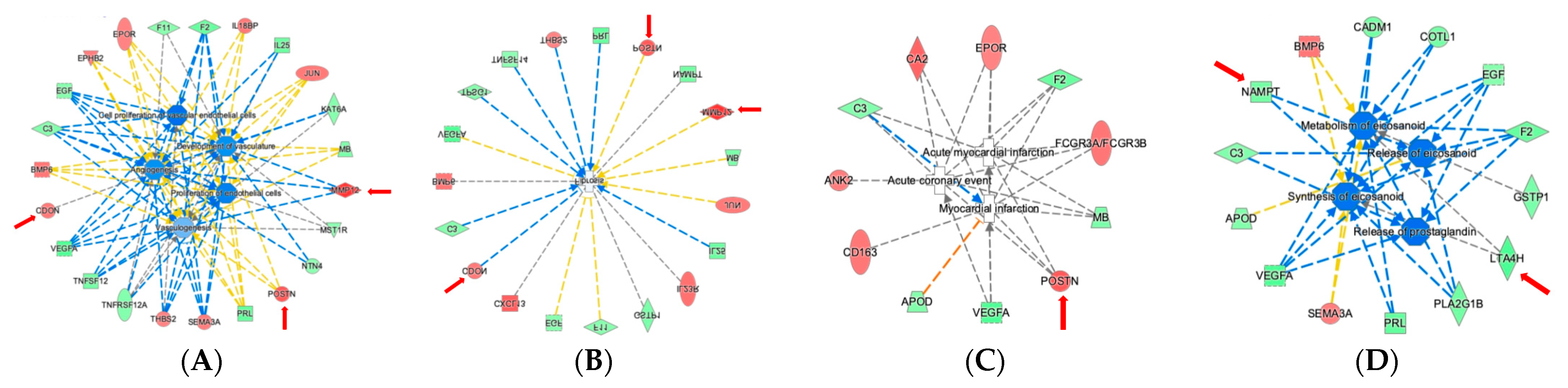 Ijms 22 02474 g008 Ijms 22 02474 g008