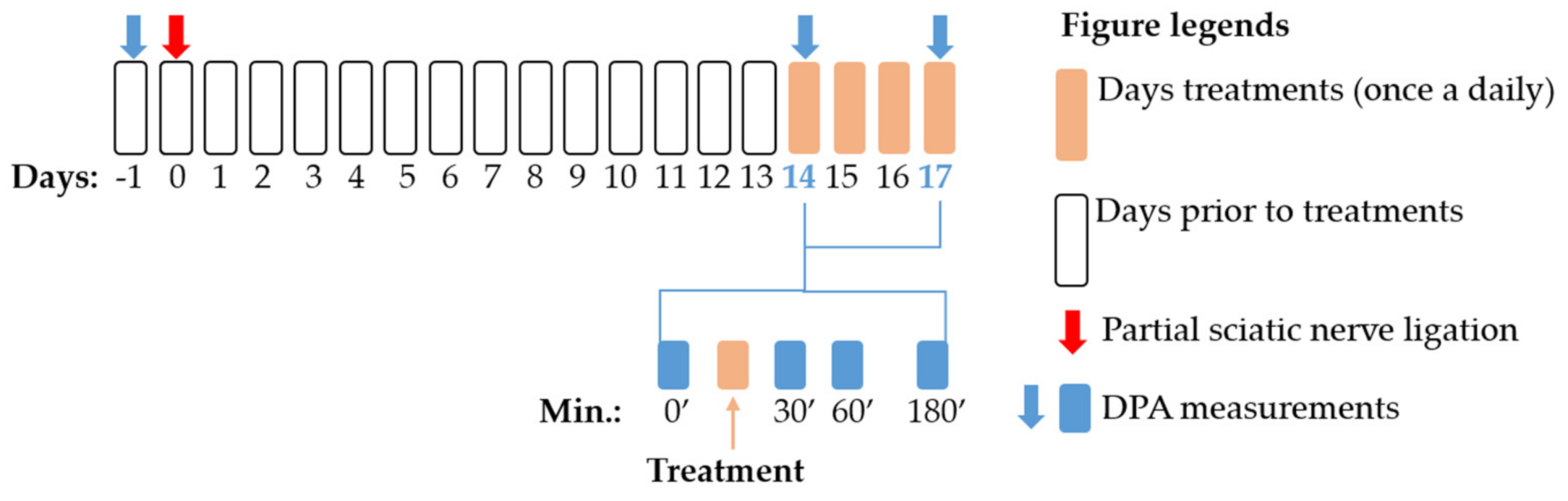 Ijms 22 02479 g008 Ijms 22 02479 g008