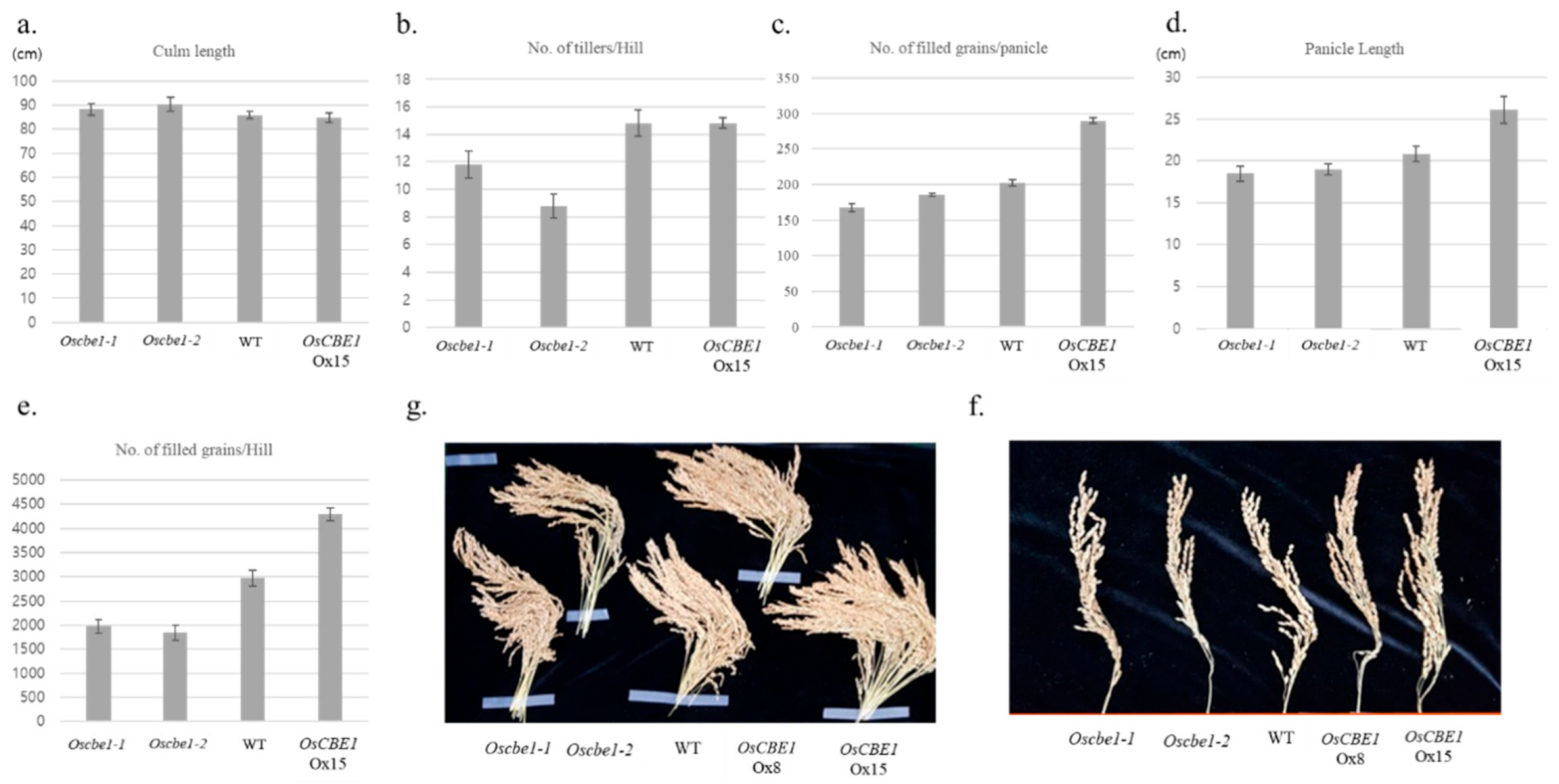 Ijms 22 02487 g003 Ijms 22 02487 g003