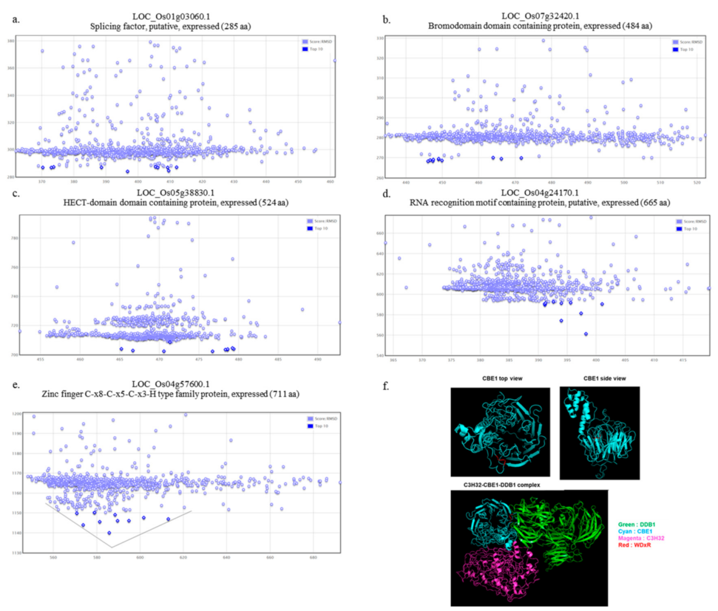 Ijms 22 02487 g004 Ijms 22 02487 g004