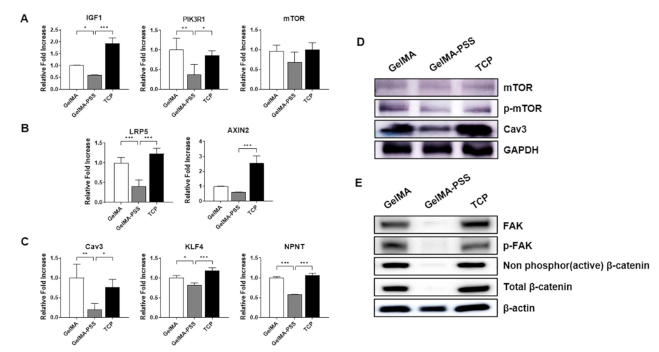 Ijms 22 02488 g005 Ijms 22 02488 g005
