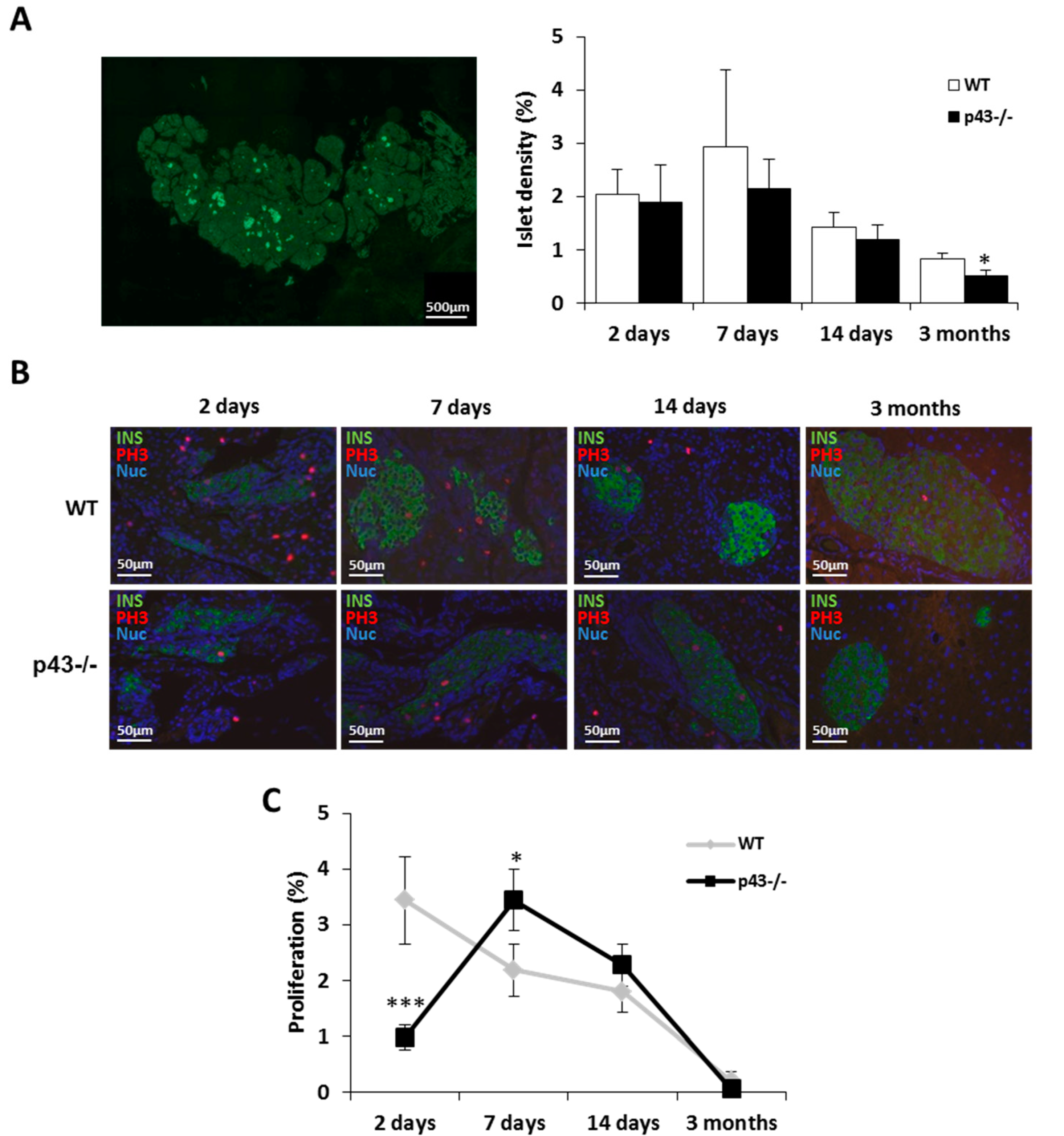 Ijms 22 02489 g001 Ijms 22 02489 g001