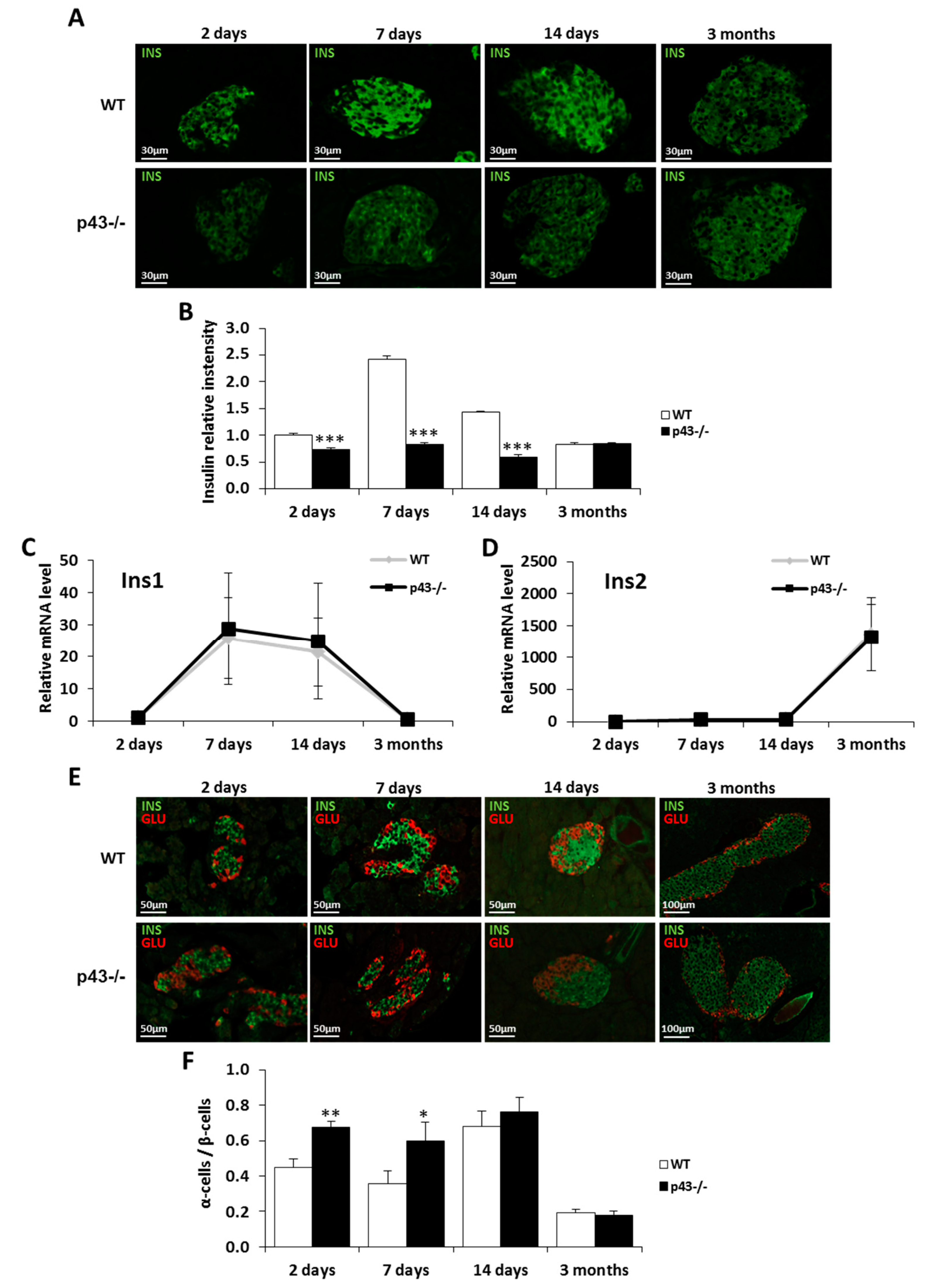 Ijms 22 02489 g002 Ijms 22 02489 g002