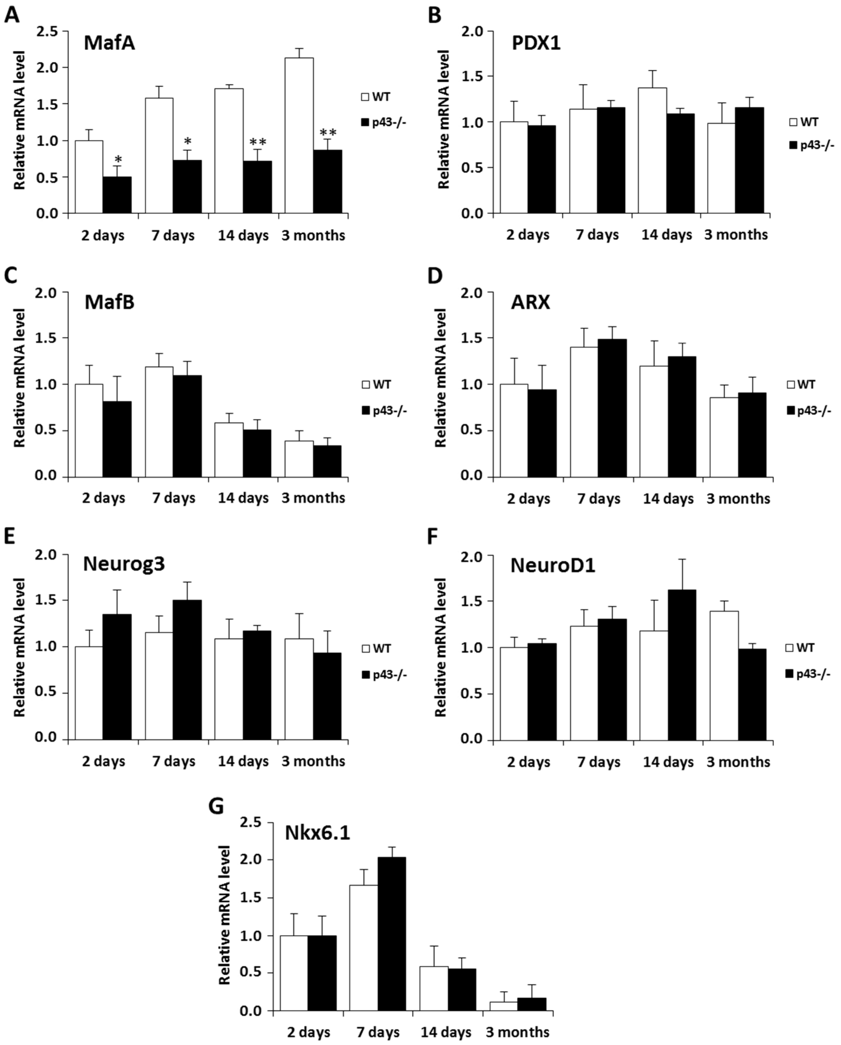Ijms 22 02489 g003 Ijms 22 02489 g003