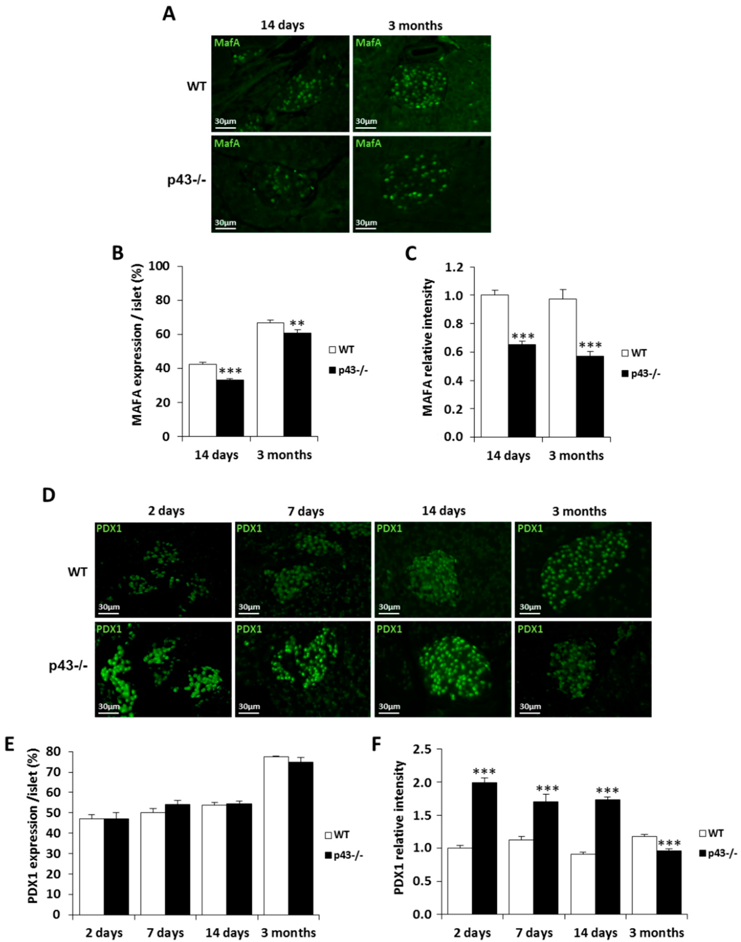 Ijms 22 02489 g004 Ijms 22 02489 g004