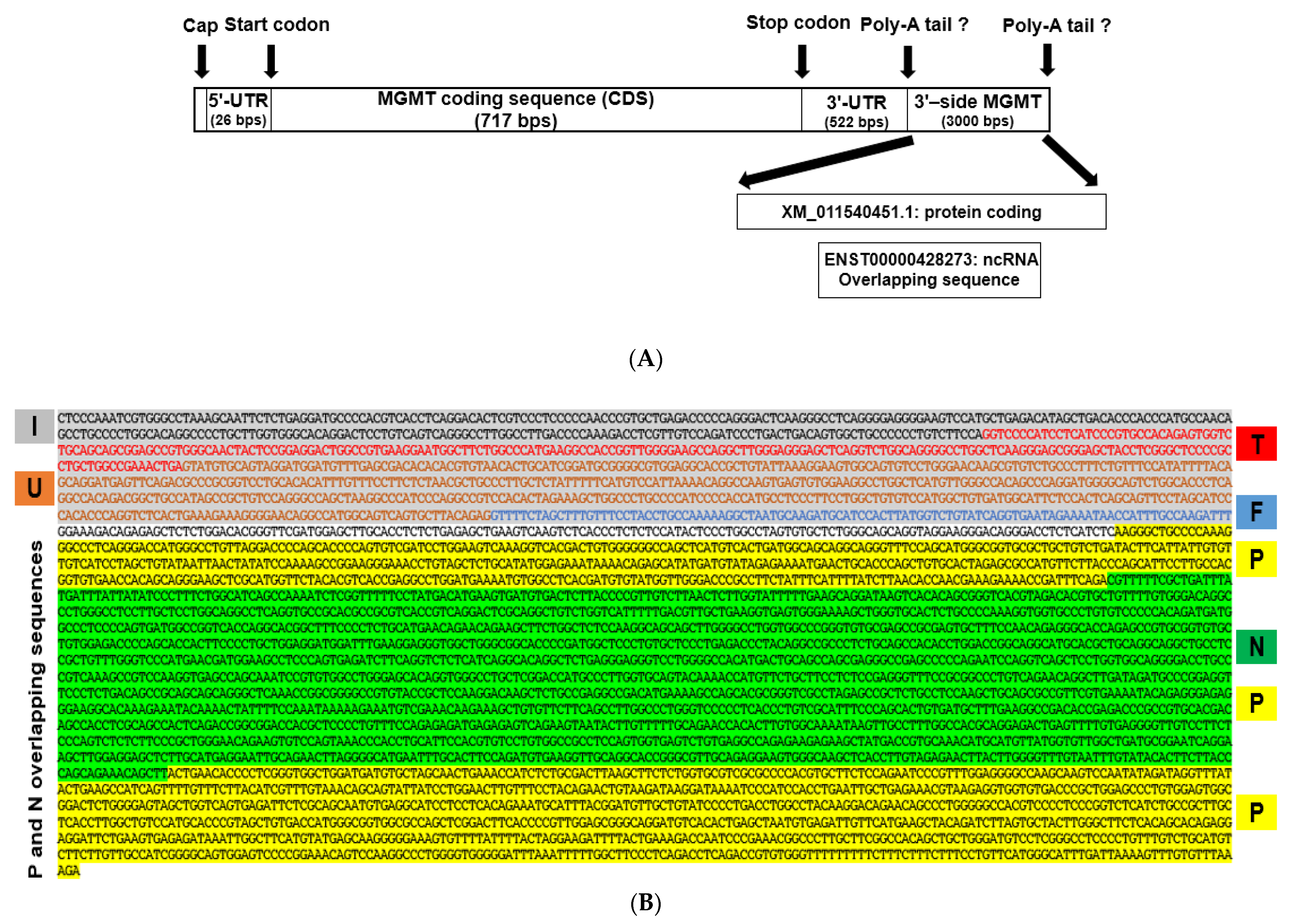 Ijms 22 02492 g002a Ijms 22 02492 g002a