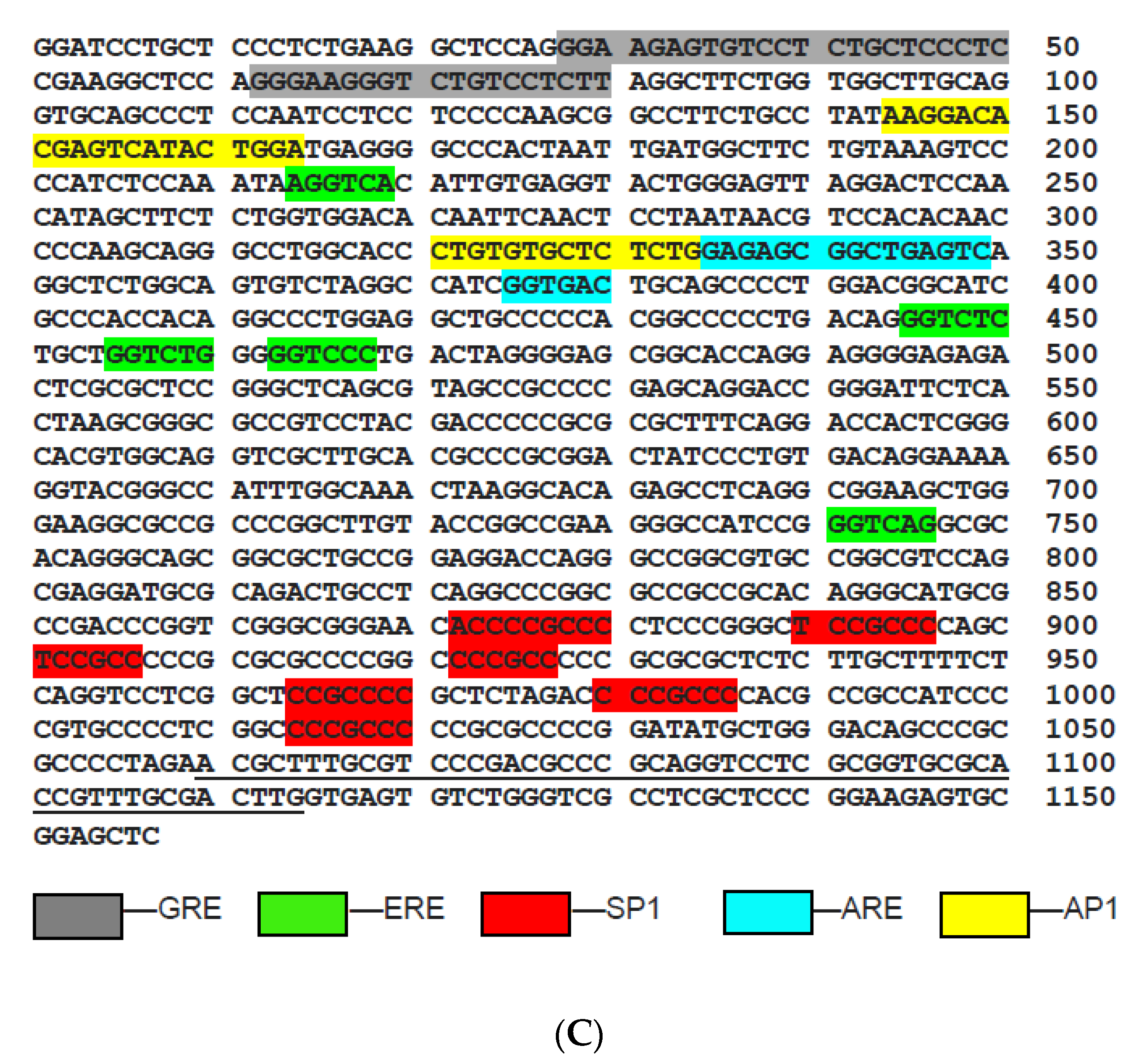 Ijms 22 02492 g002b Ijms 22 02492 g002b