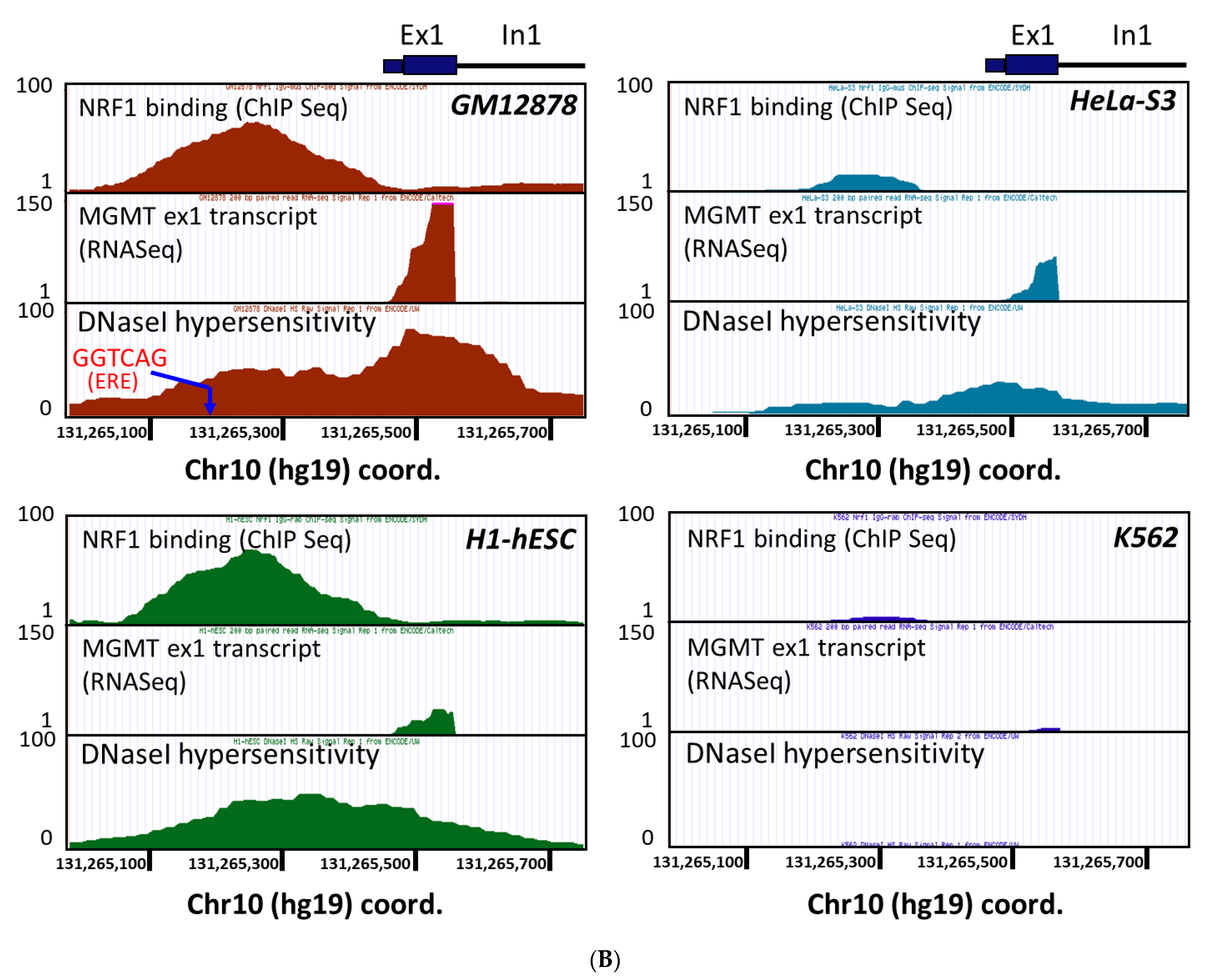 Ijms 22 02492 g003b Ijms 22 02492 g003b