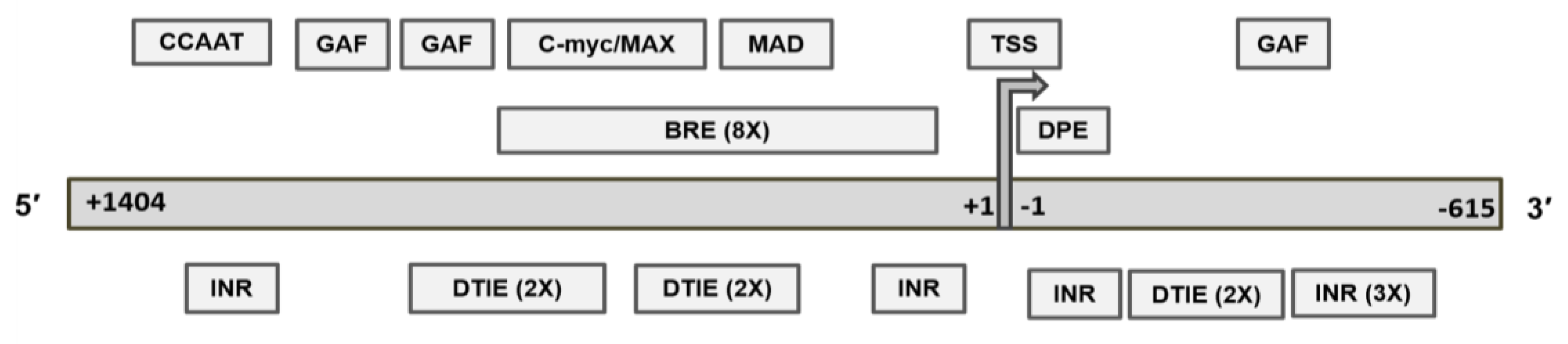 Ijms 22 02492 g004a Ijms 22 02492 g004a
