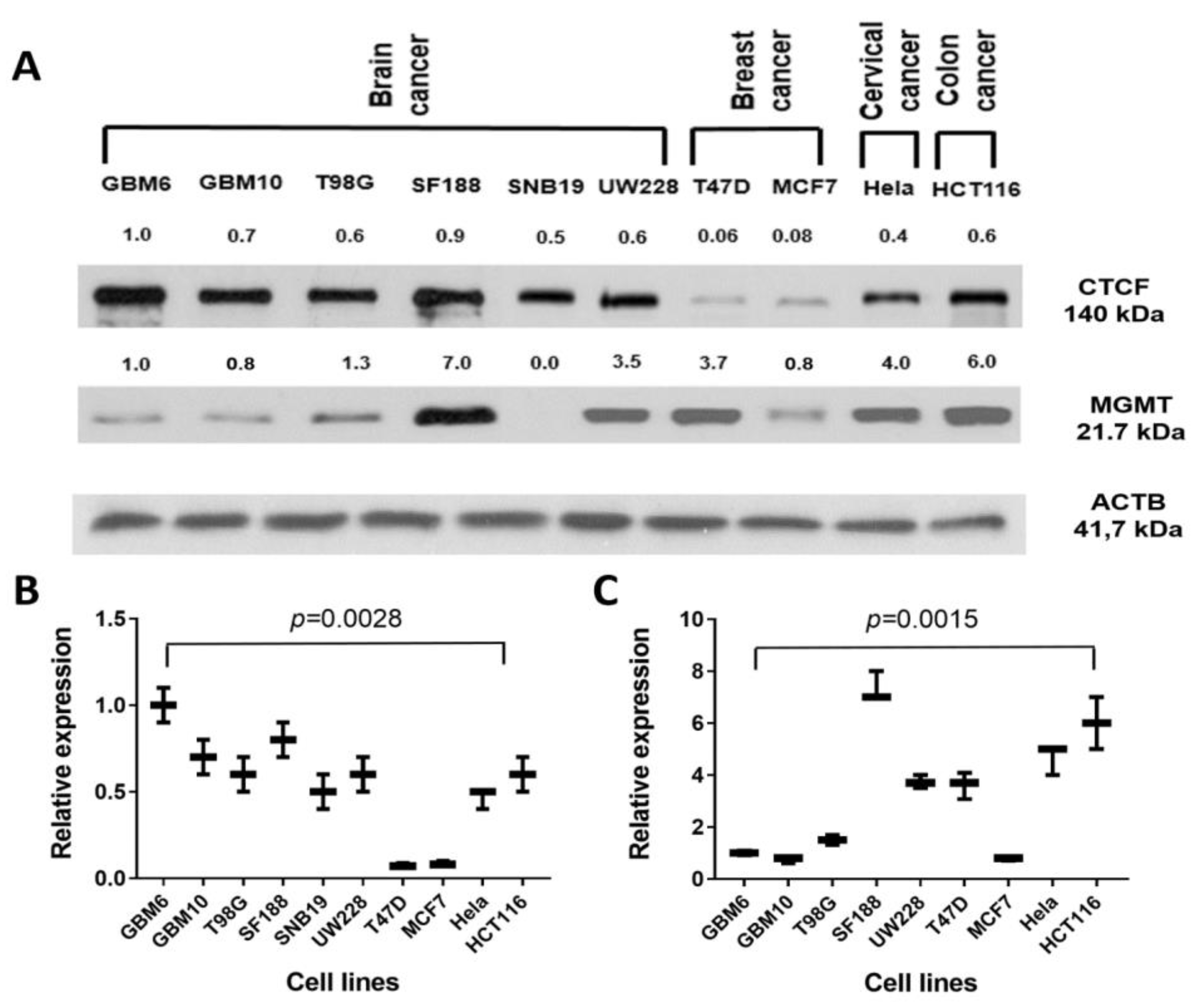 Ijms 22 02492 g006 Ijms 22 02492 g006
