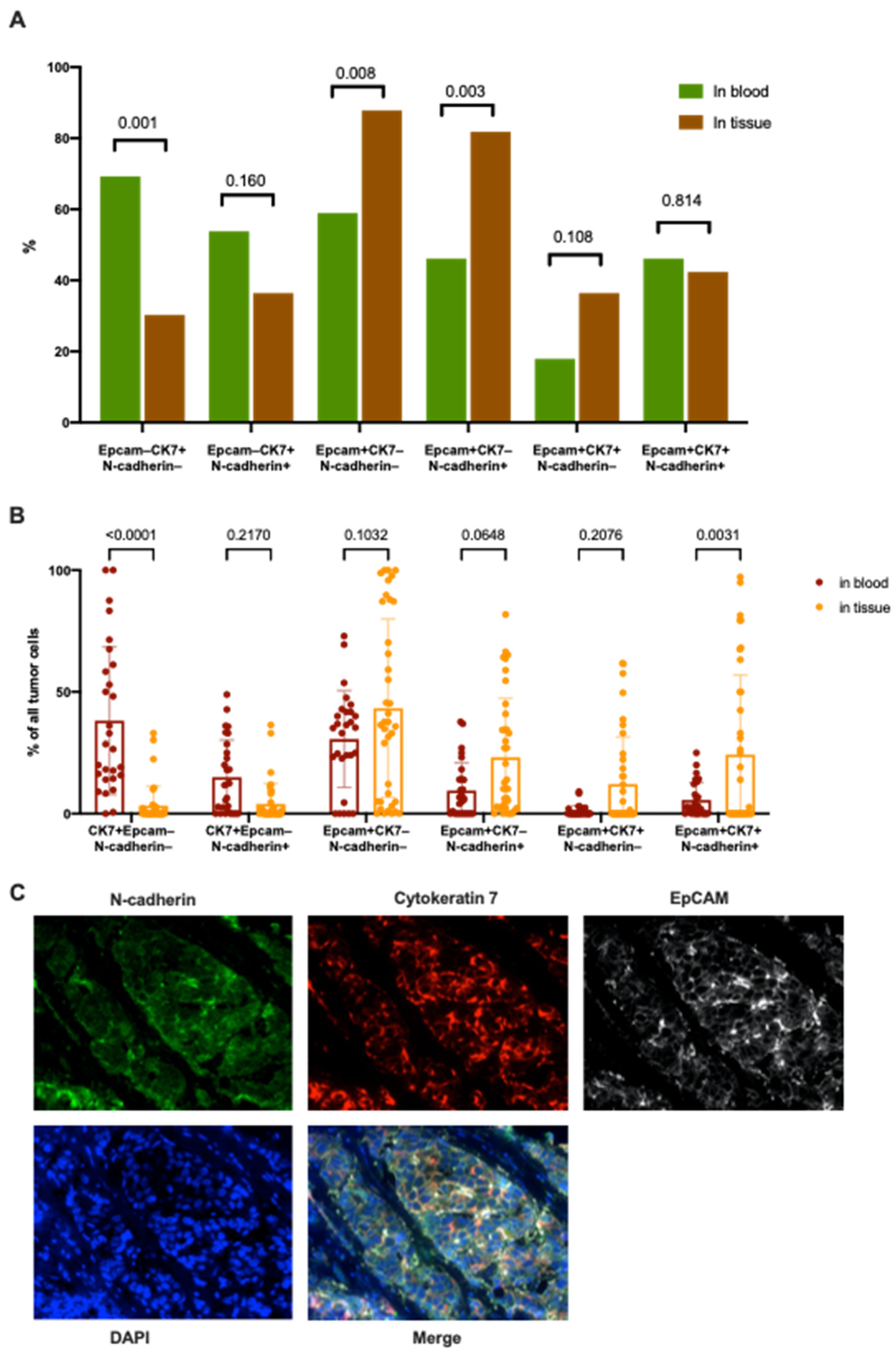Ijms 22 02504 g007 Ijms 22 02504 g007