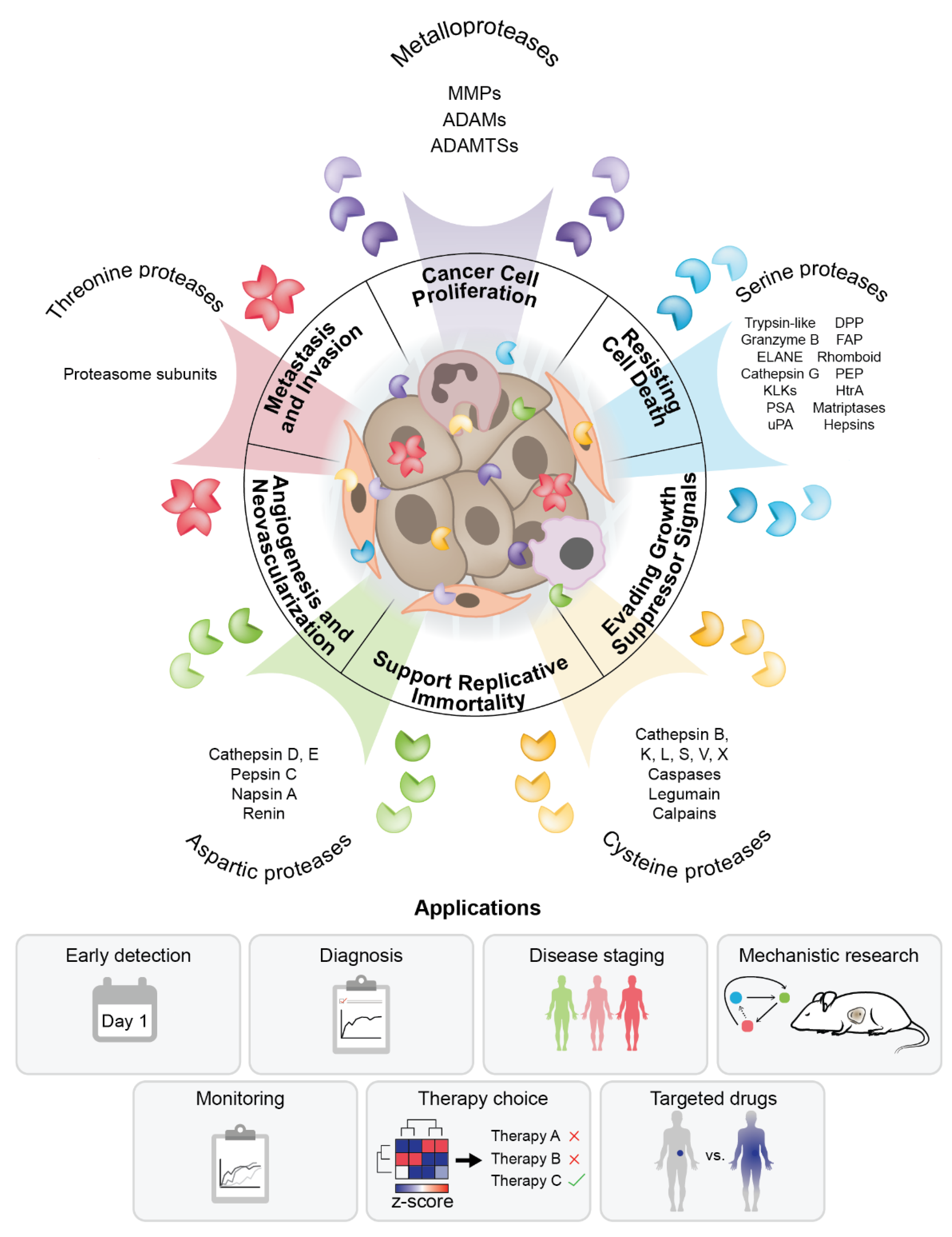 IJMS | Free Full-Text | The Tumor Proteolytic Landscape: A 